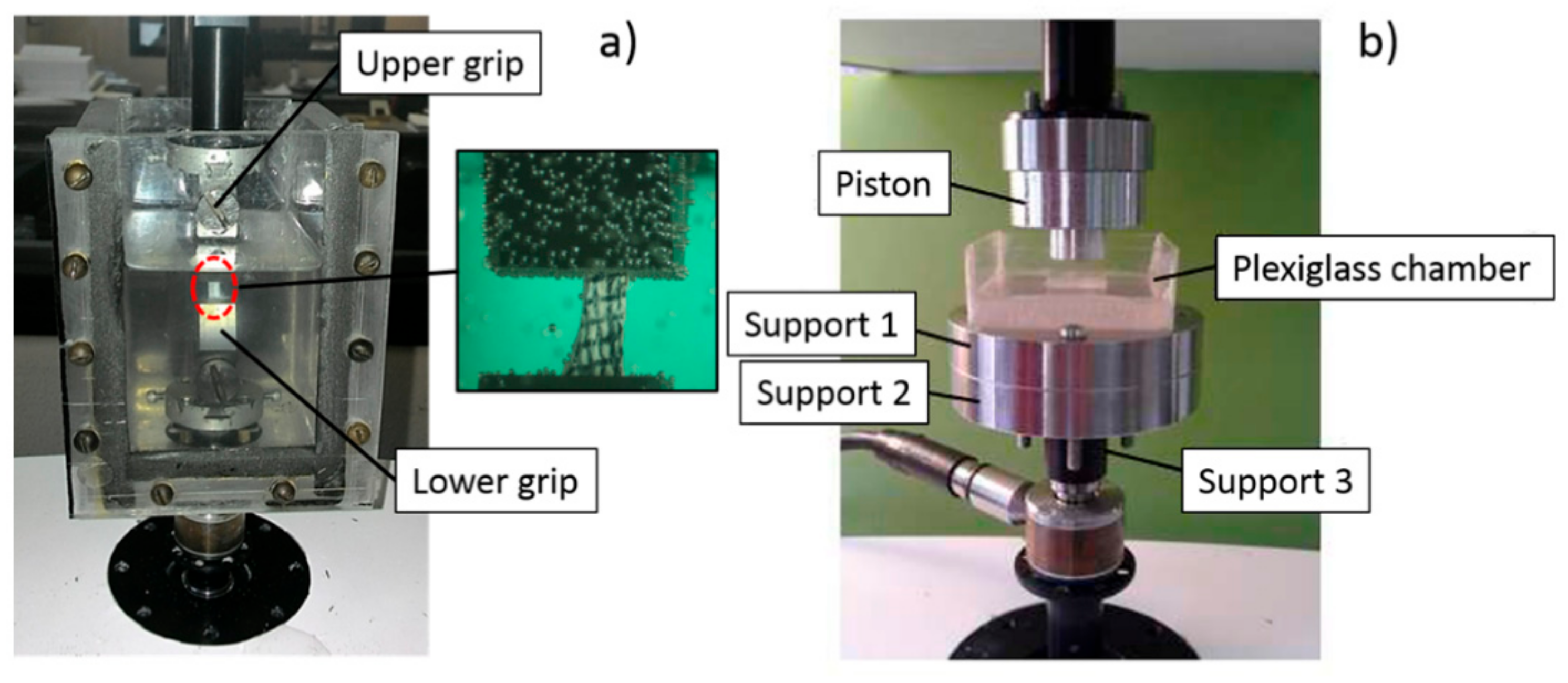 Bioengineering 08 00070 g002 Bioengineering 08 00070 g002