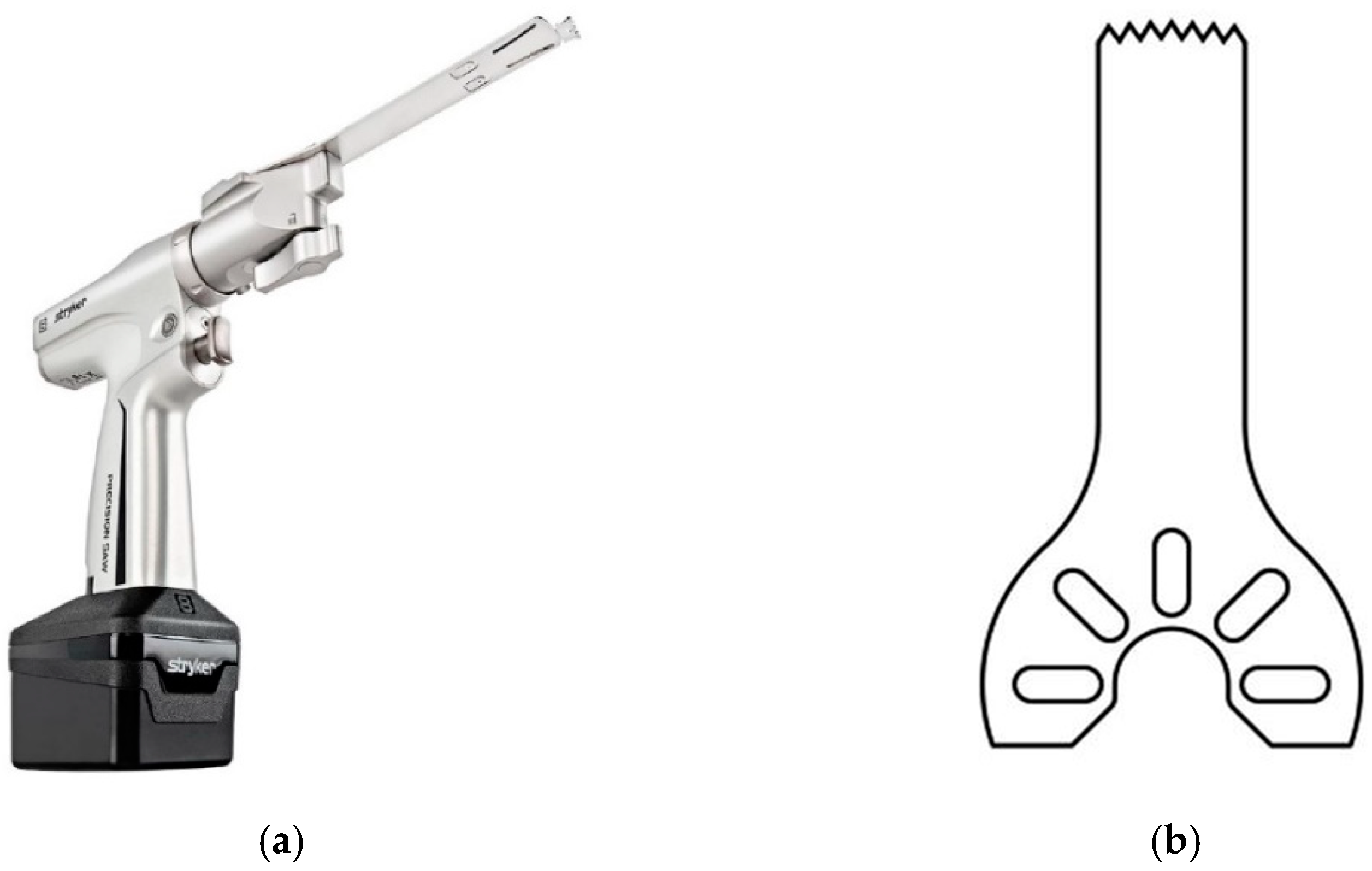 Bioengineering 08 00071 g001