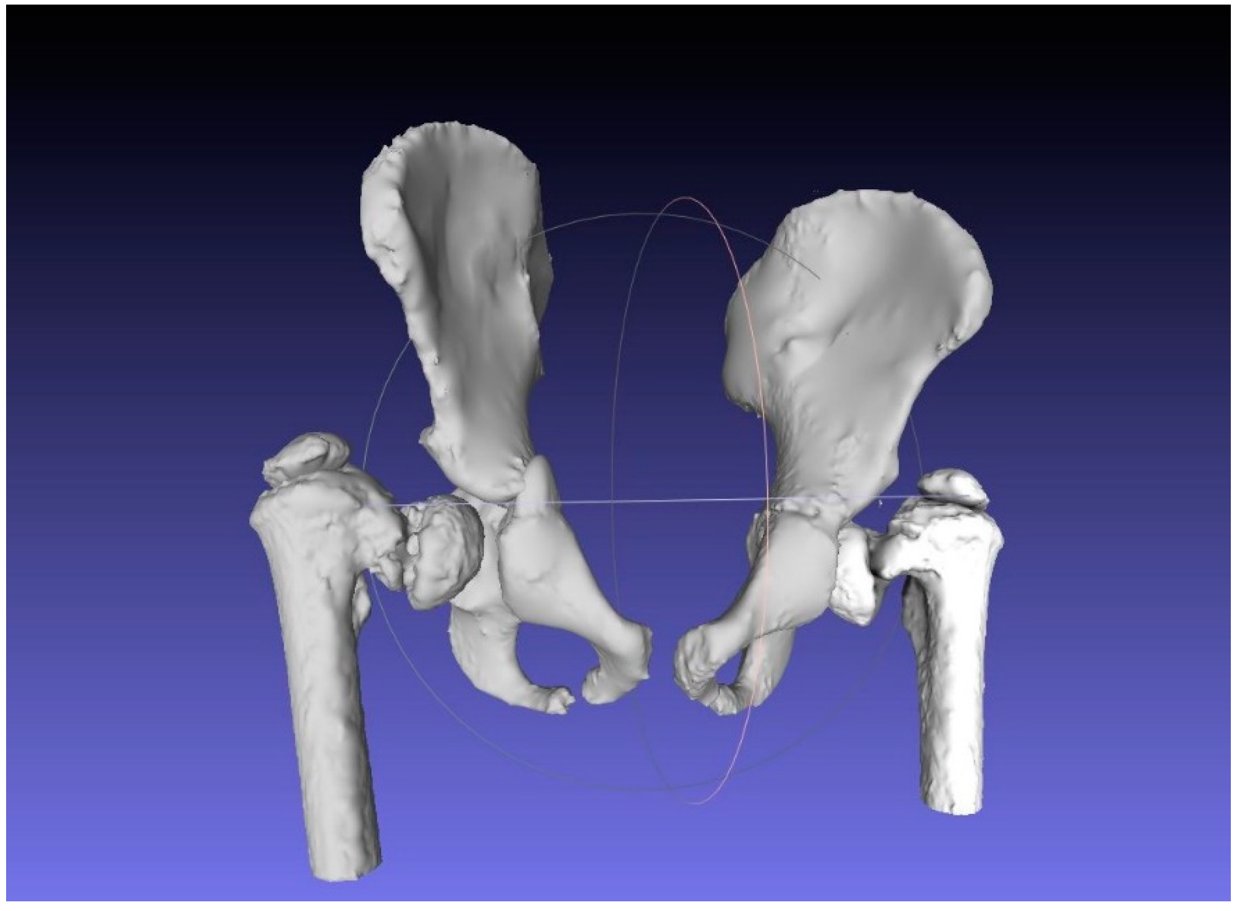 Bioengineering 08 00071 g006