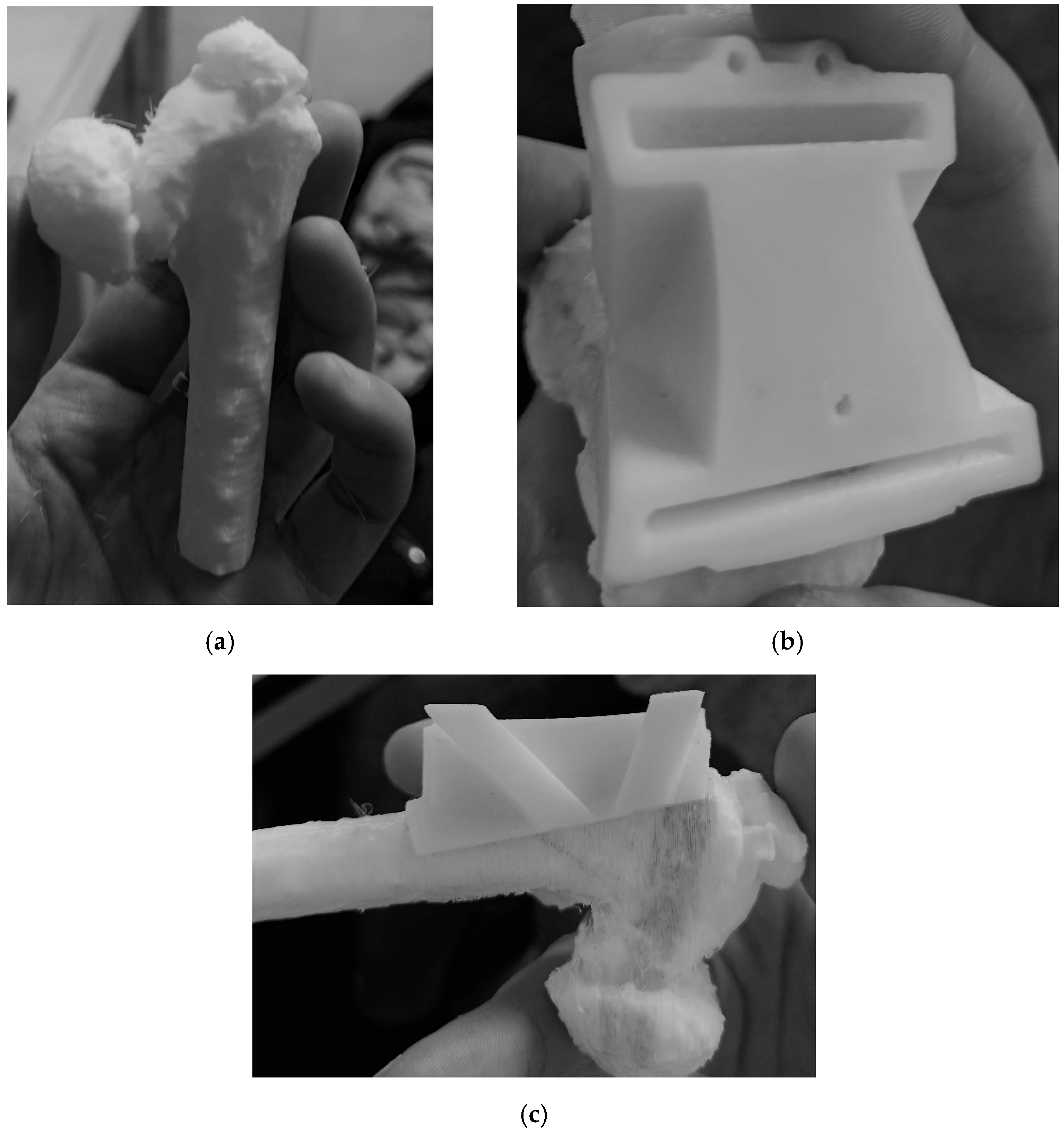 Bioengineering 08 00071 g009