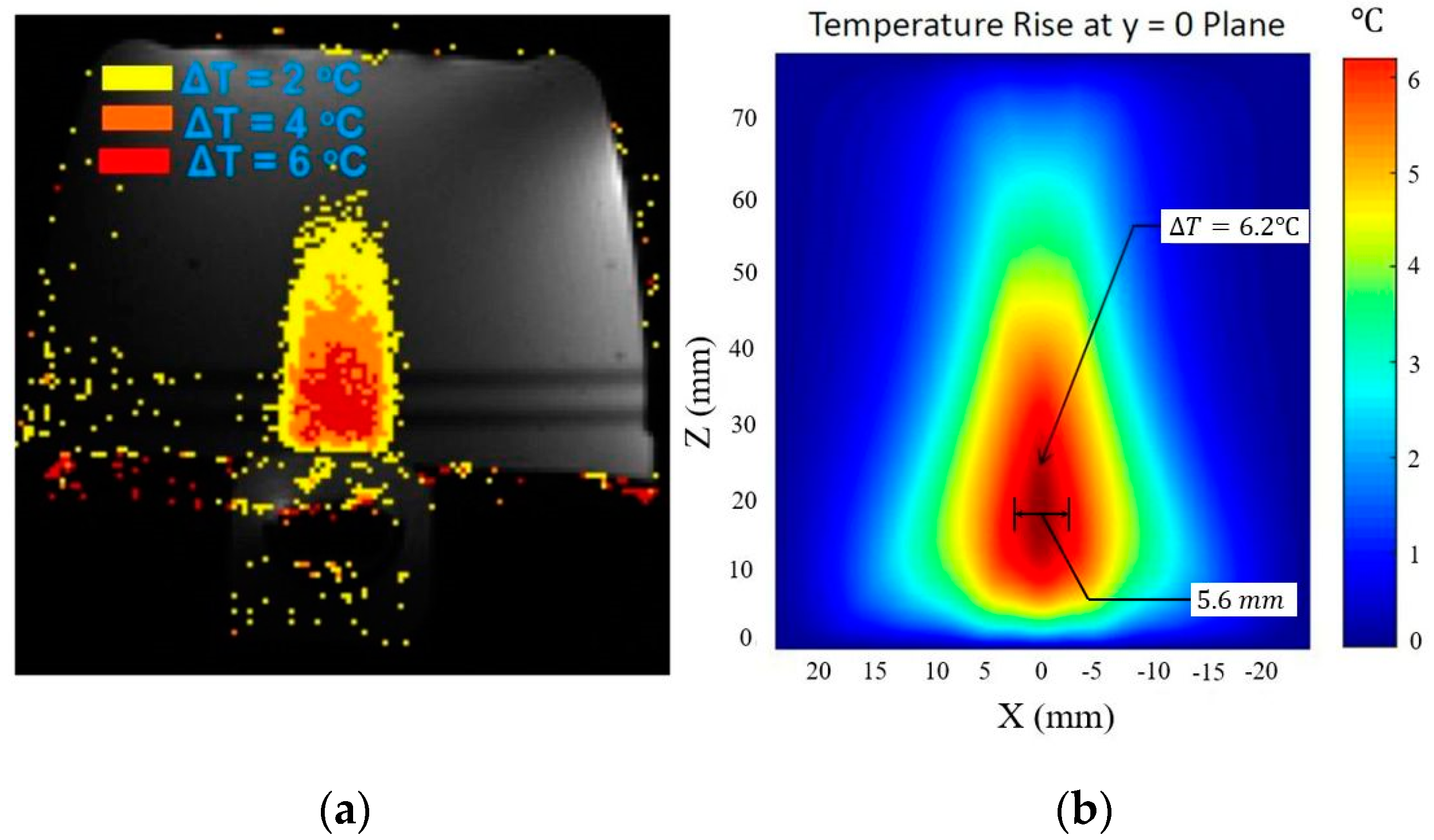 Bioengineering 08 00074 g005