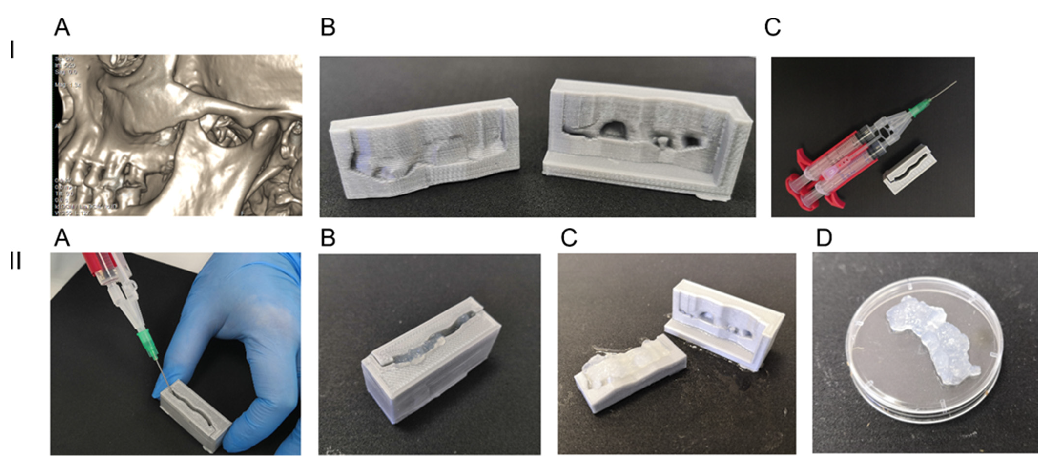 Bioengineering 08 00075 g001