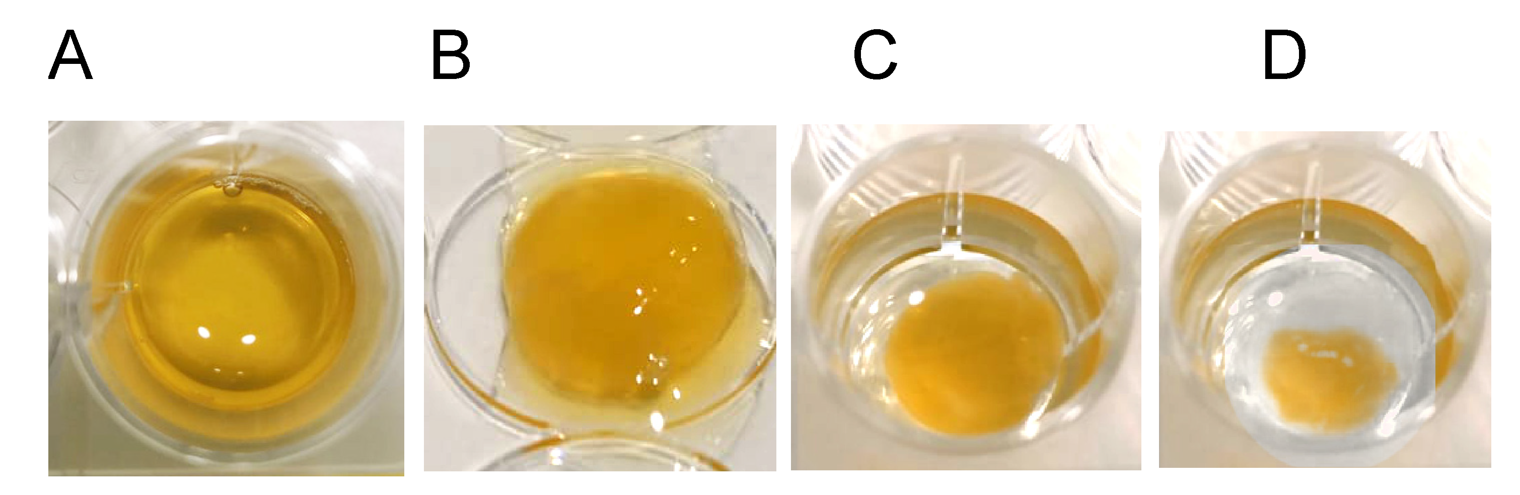 Bioengineering 08 00075 g004