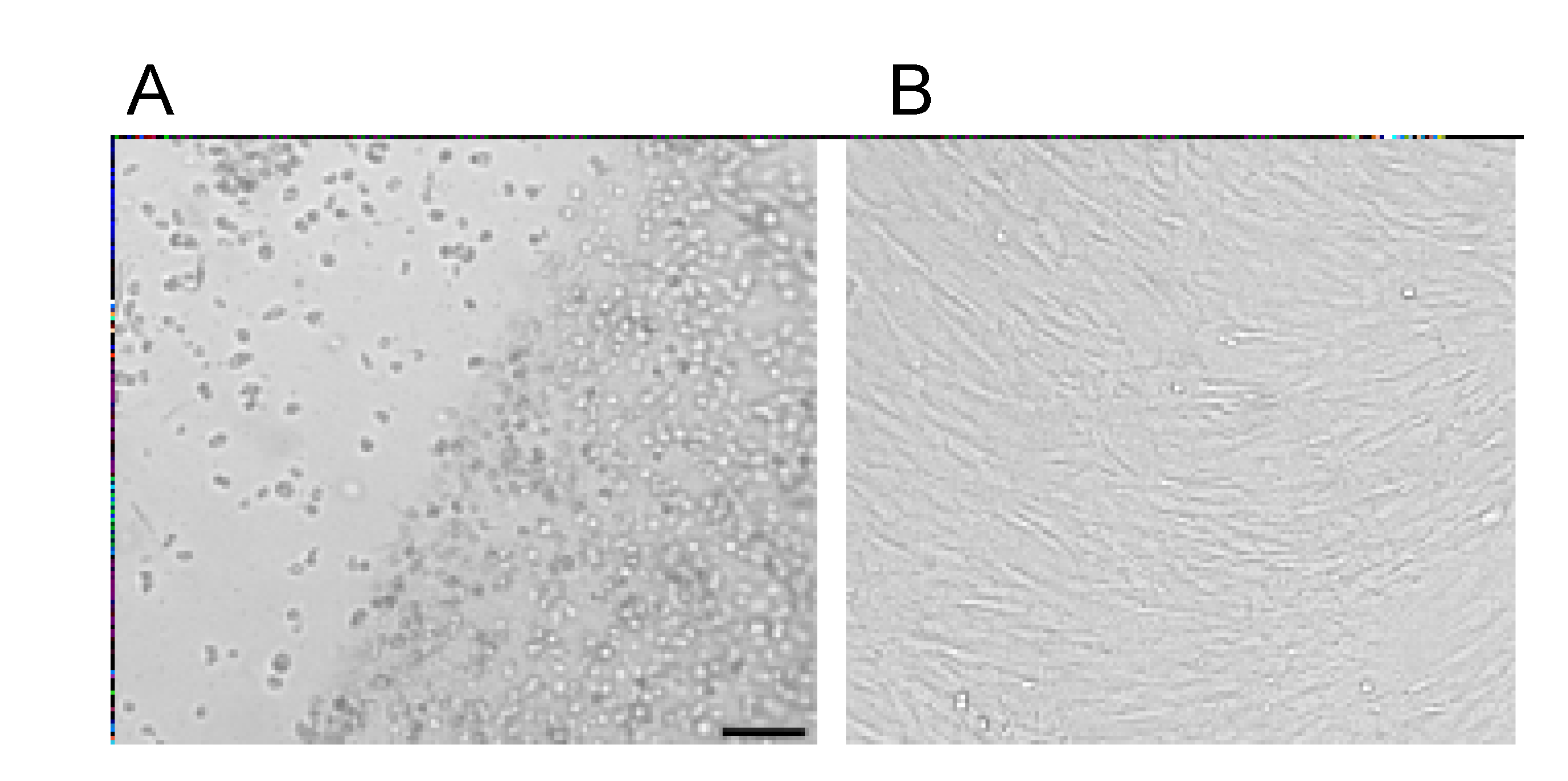 Bioengineering 08 00075 g005