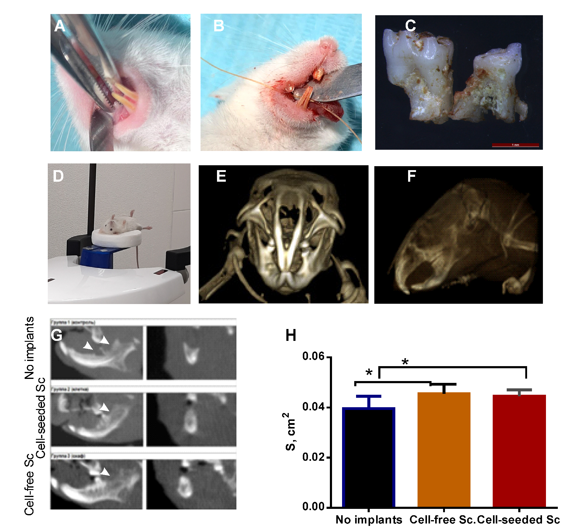 Bioengineering 08 00075 g006