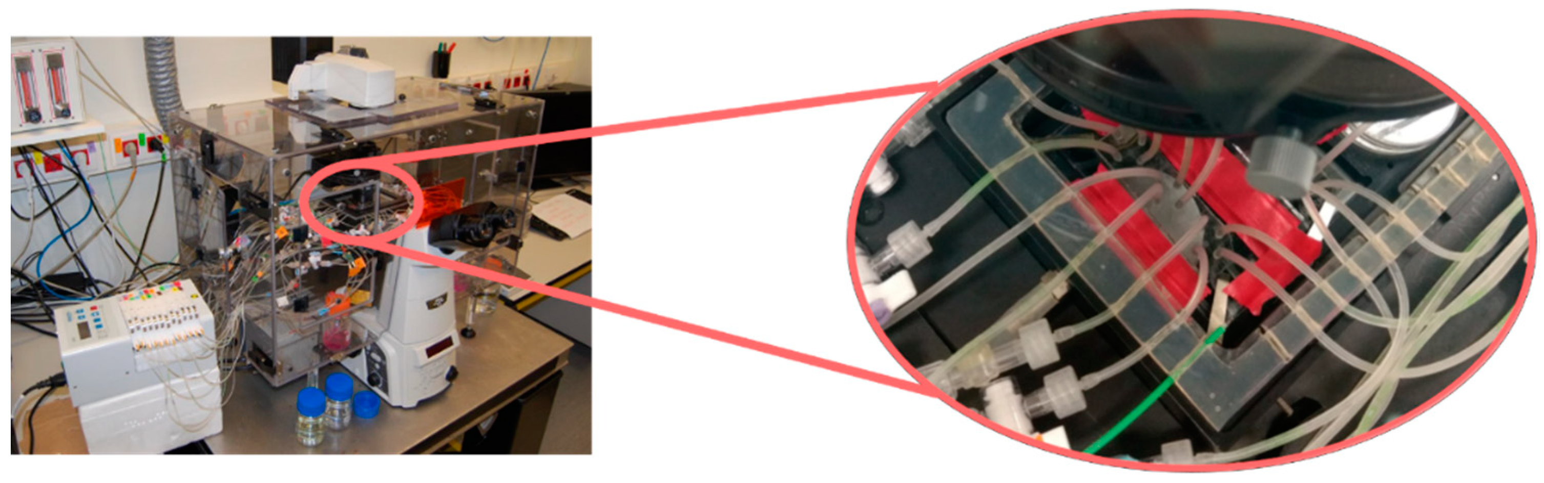 Bioengineering 08 00077 g001