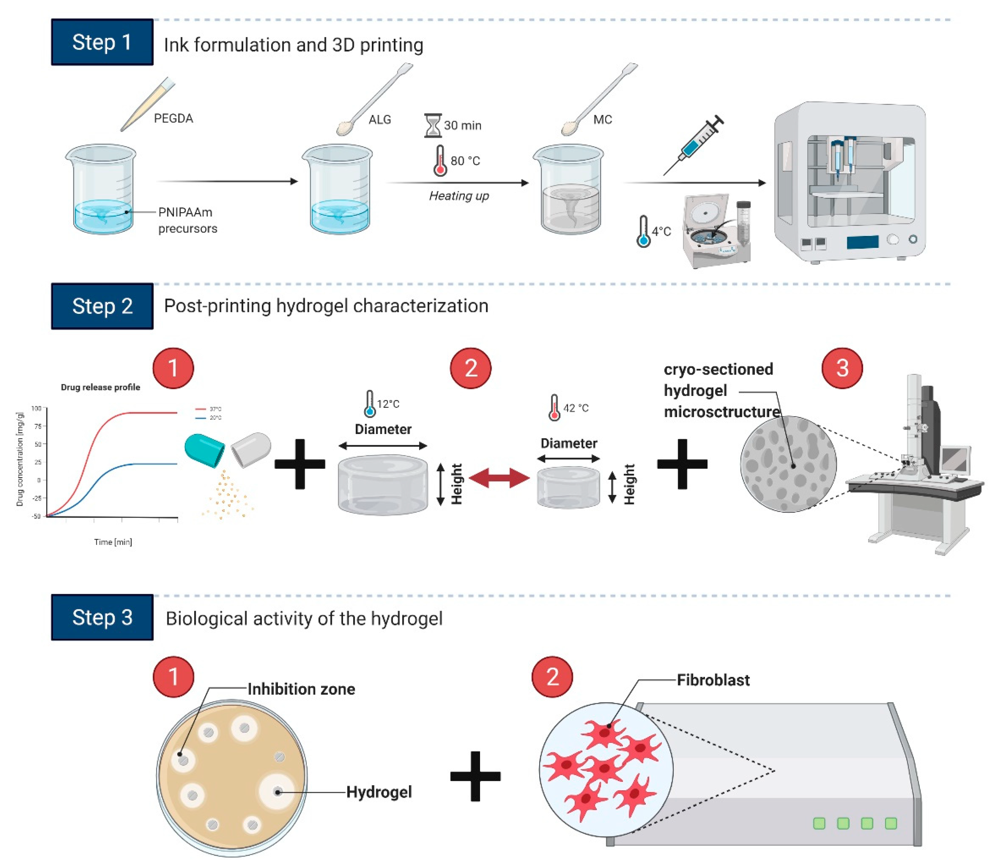 Bioengineering 08 00079 g001