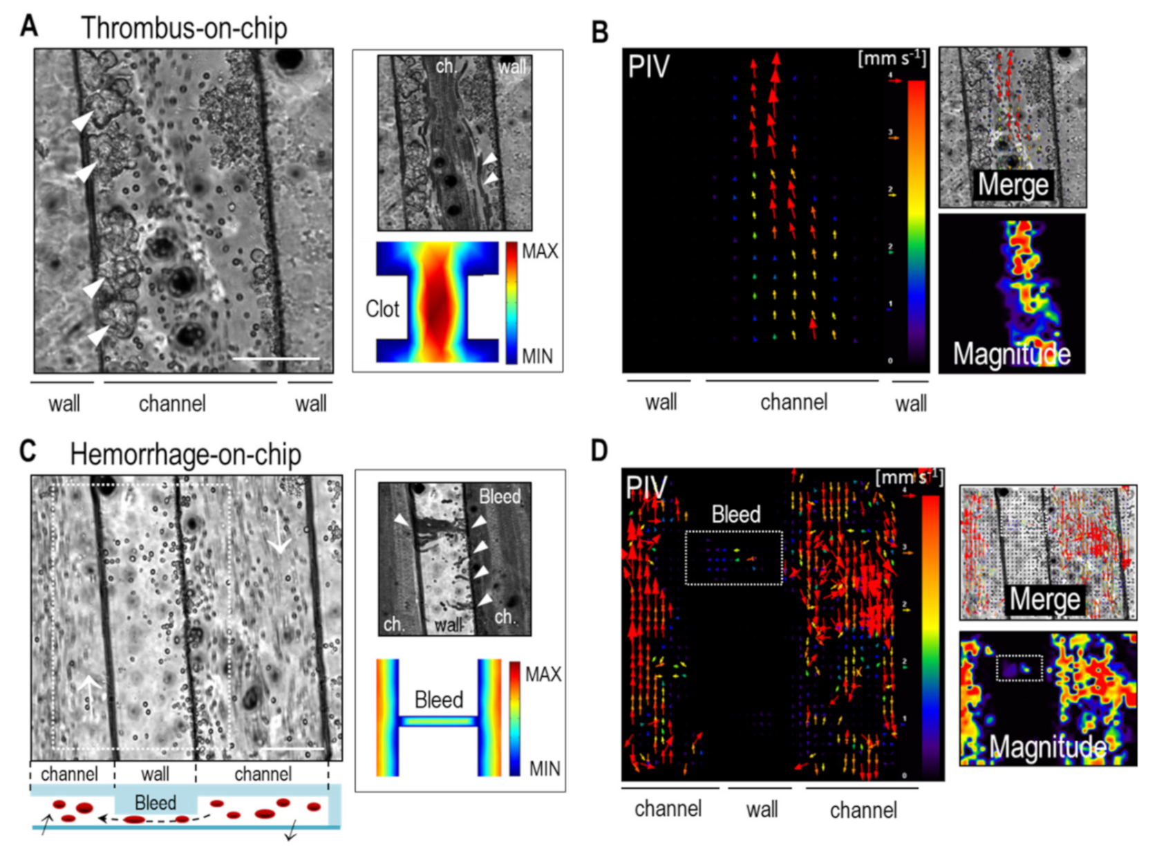 Bioengineering 08 00081 g004