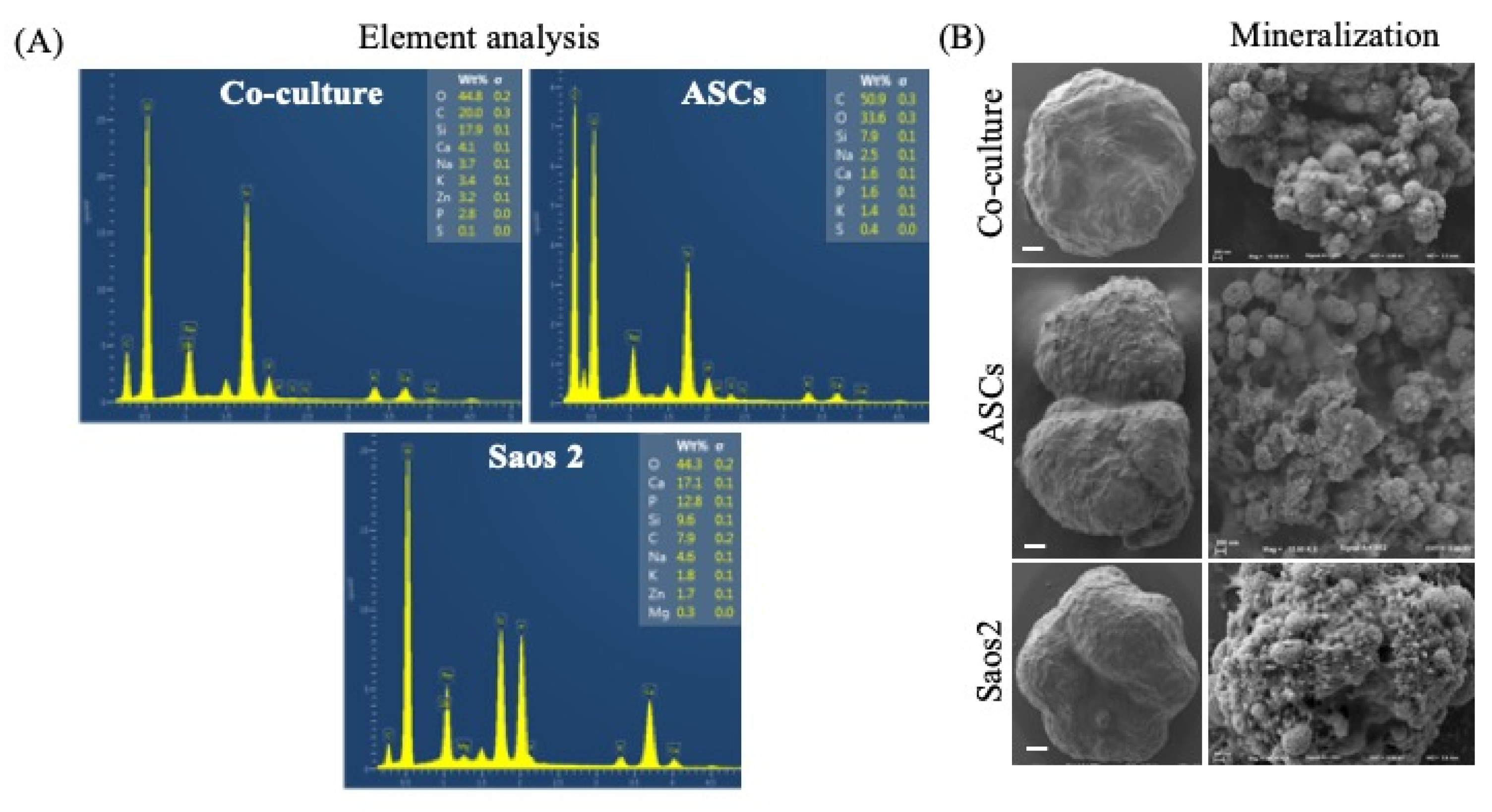 Bioengineering 08 00083 g004 Bioengineering 08 00083 g004