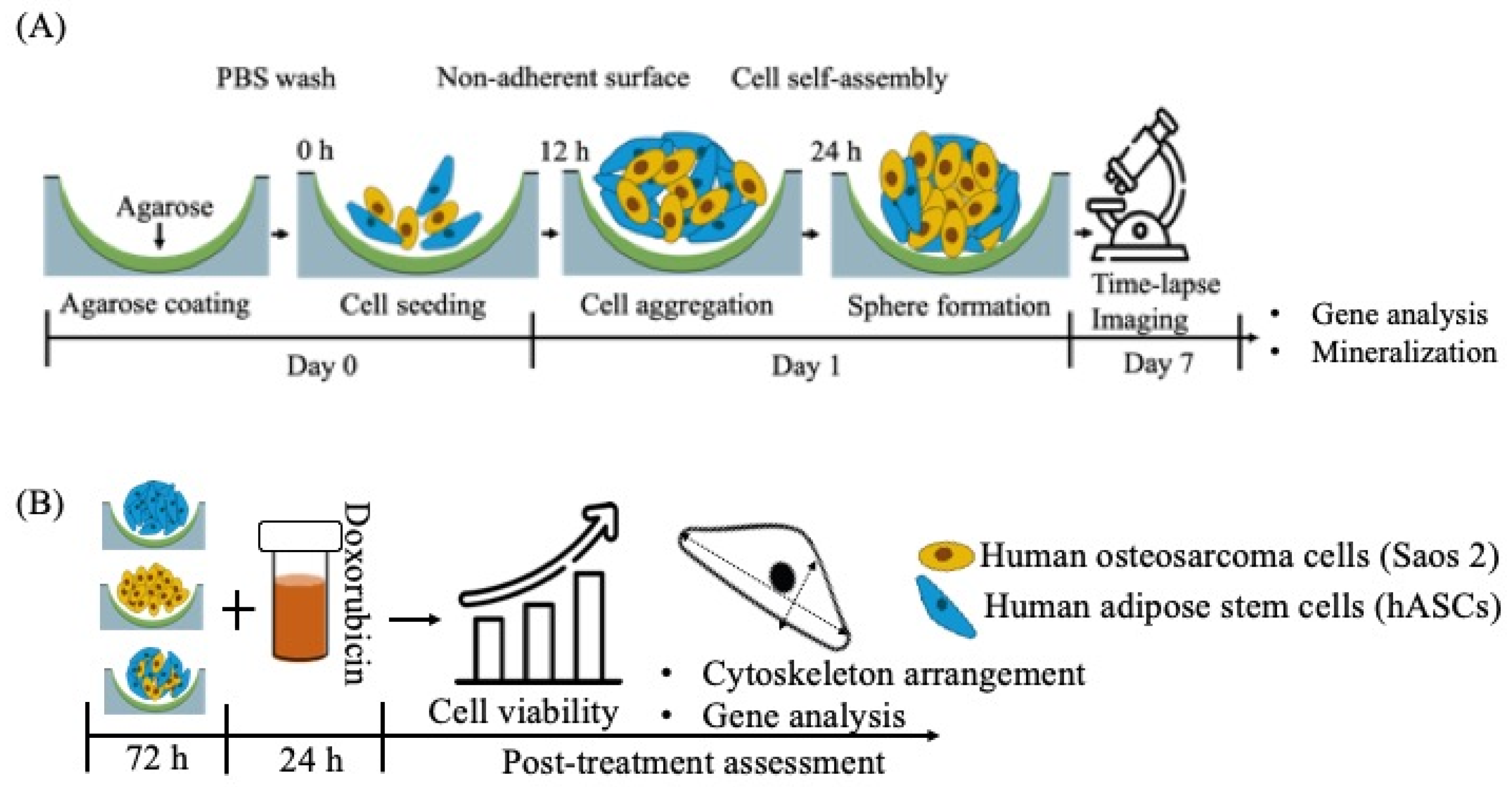 Bioengineering 08 00083 sch001 Bioengineering 08 00083 sch001