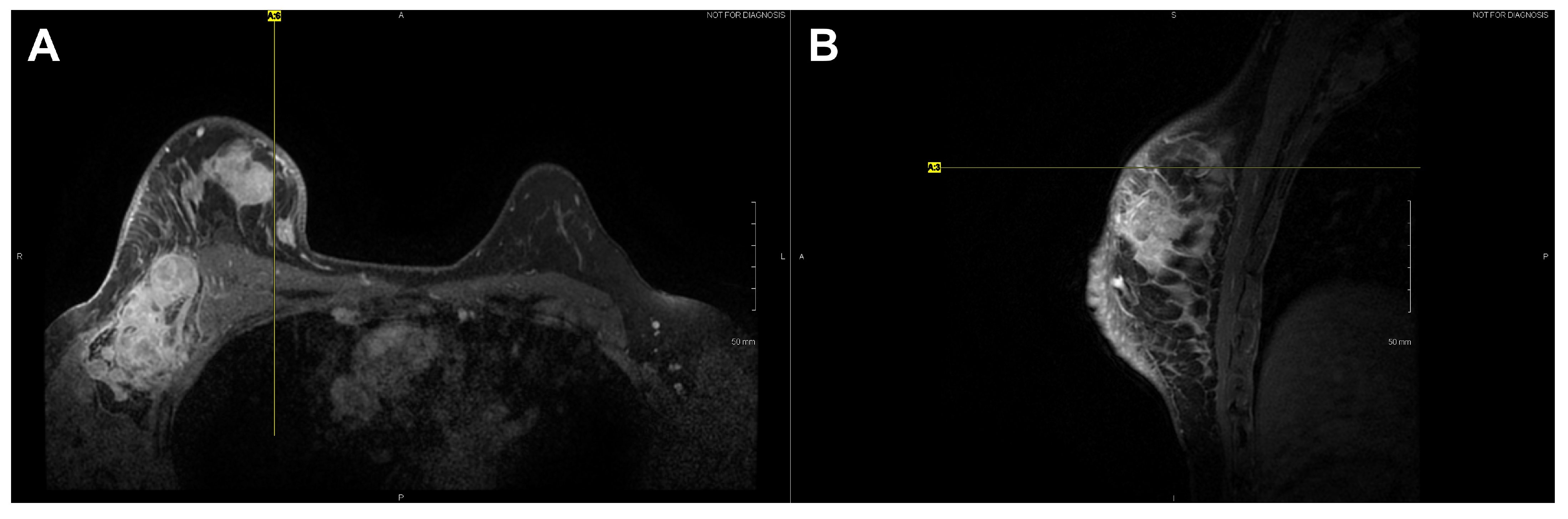 Bioengineering 08 00086 g004 550