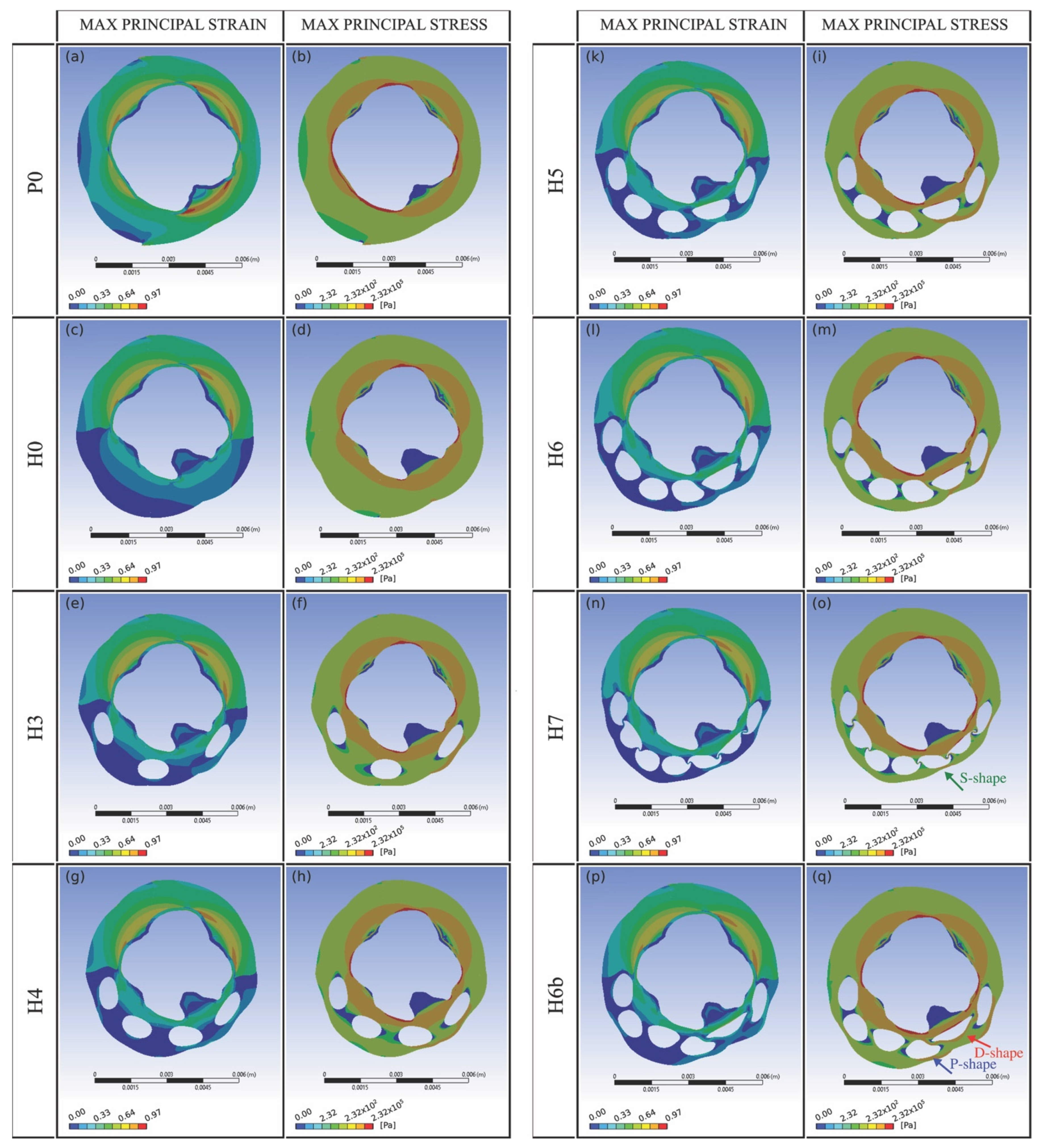 Bioengineering 08 00087 g005 550