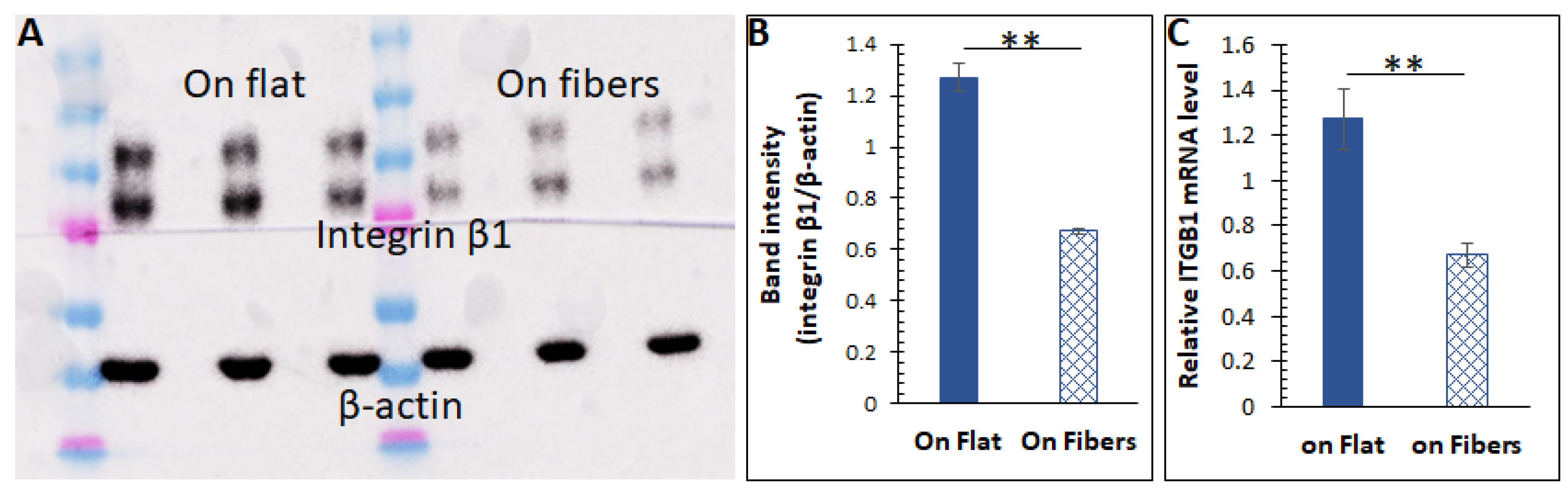 Bioengineering 08 00088 g004 550