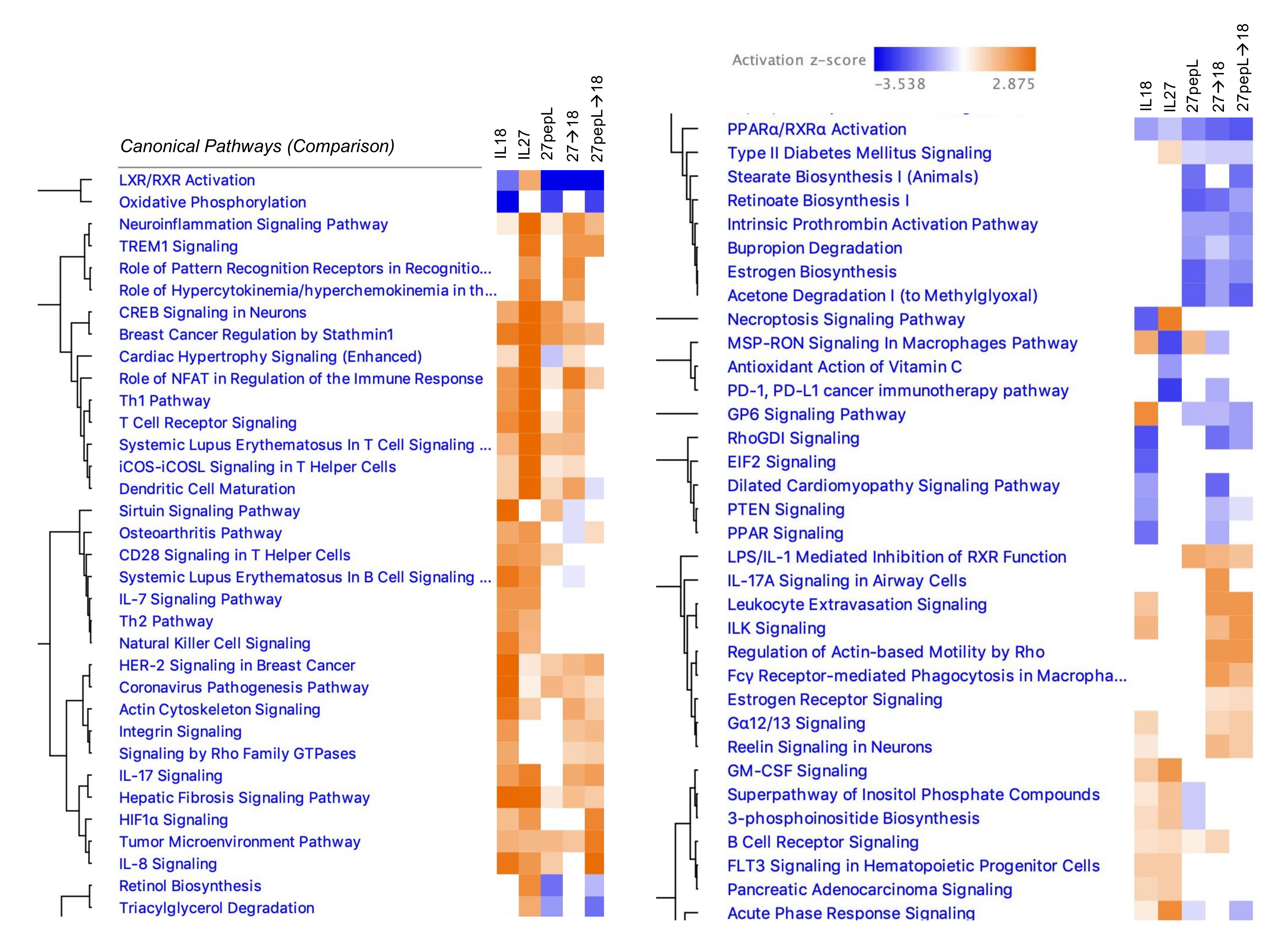Bioengineering 08 00090 g003 550