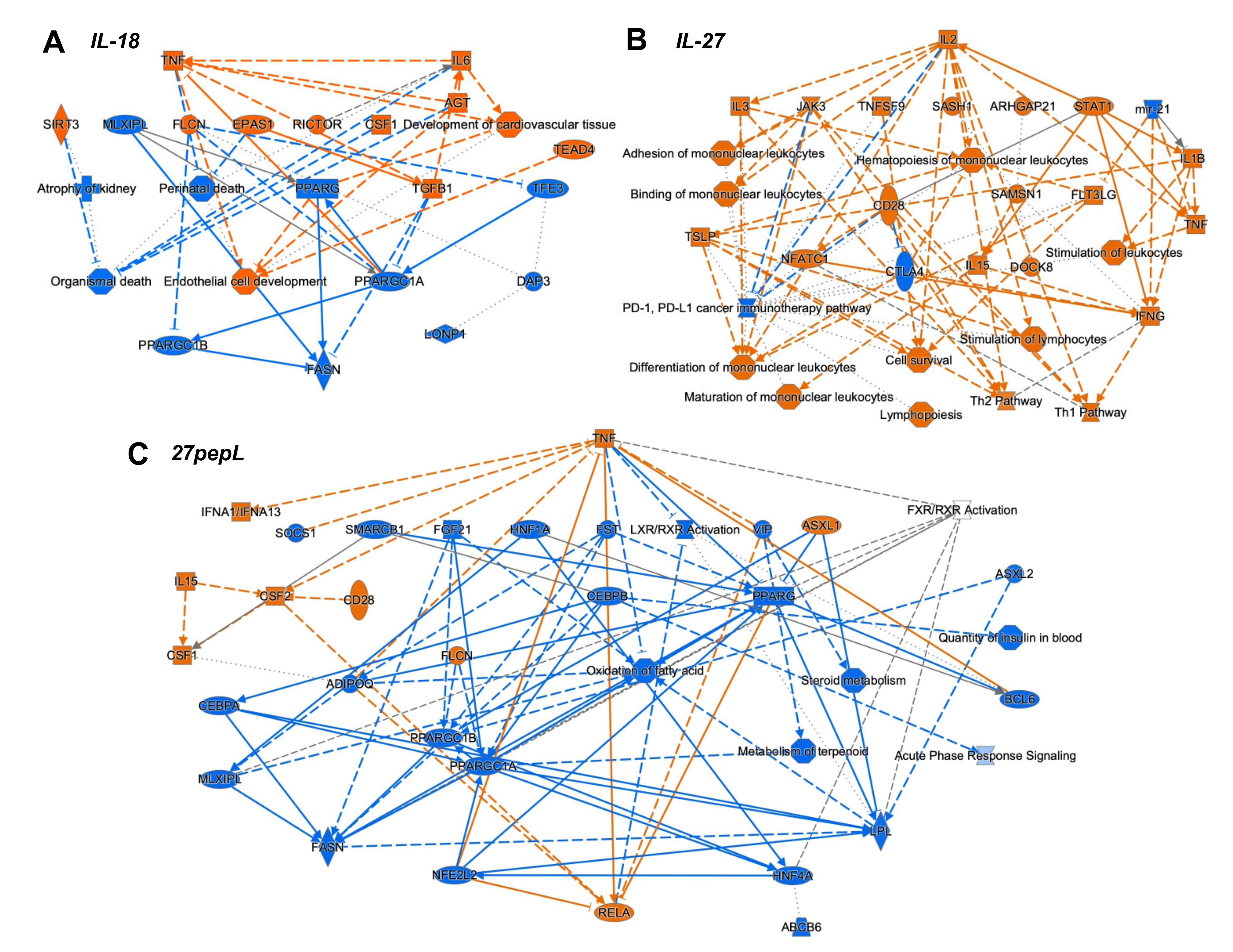 Bioengineering 08 00090 g004 550