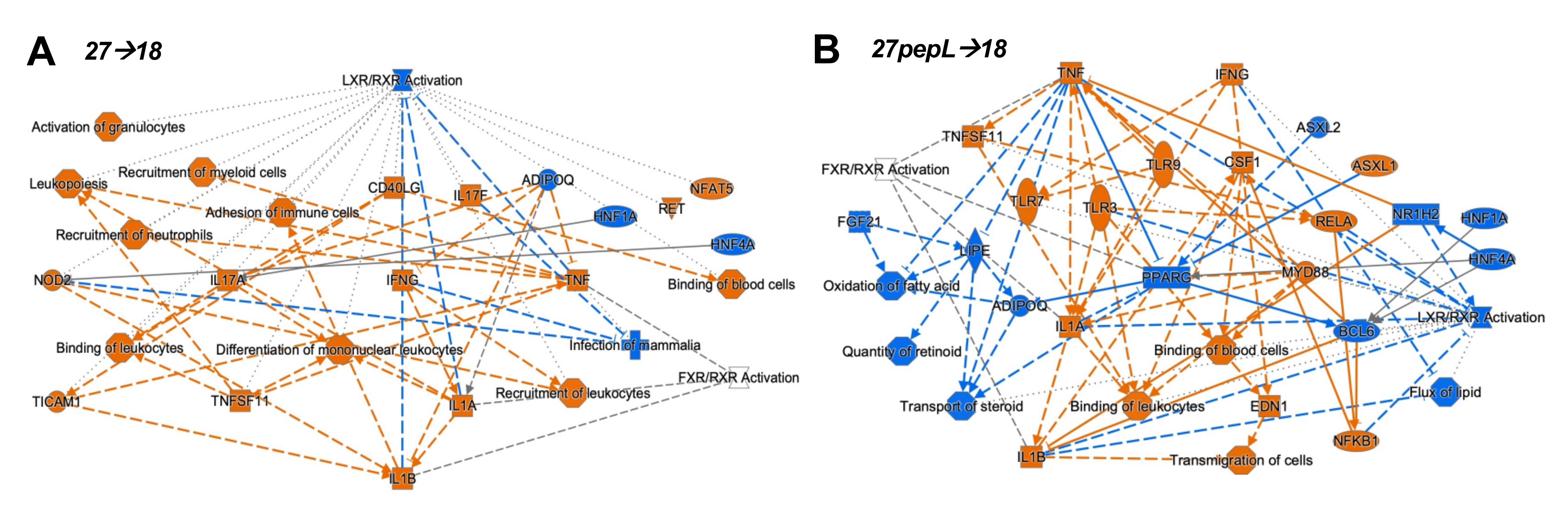 Bioengineering 08 00090 g005 550