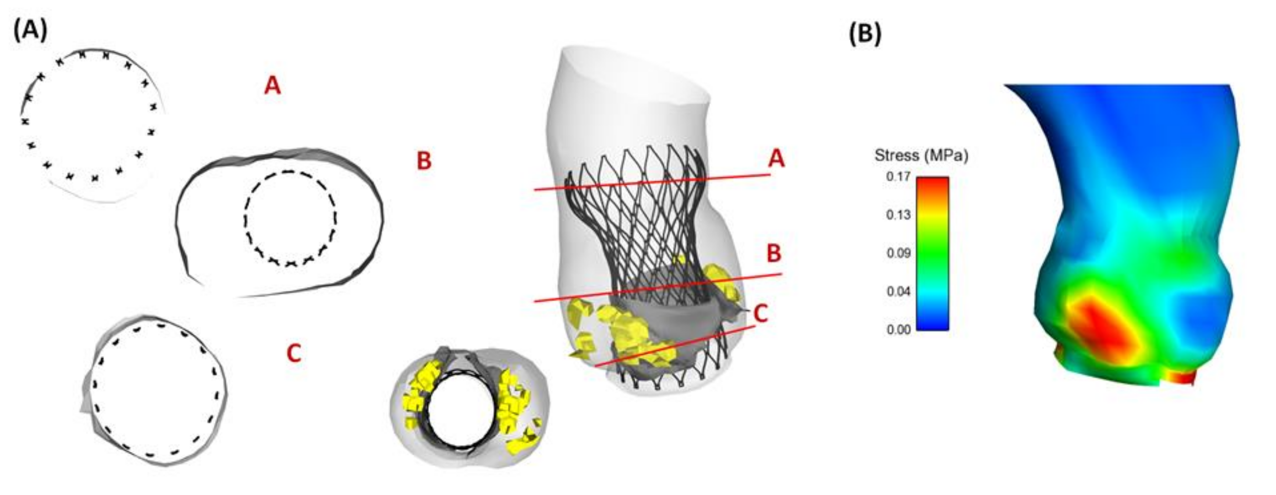 Bioengineering 08 00091 g003 550