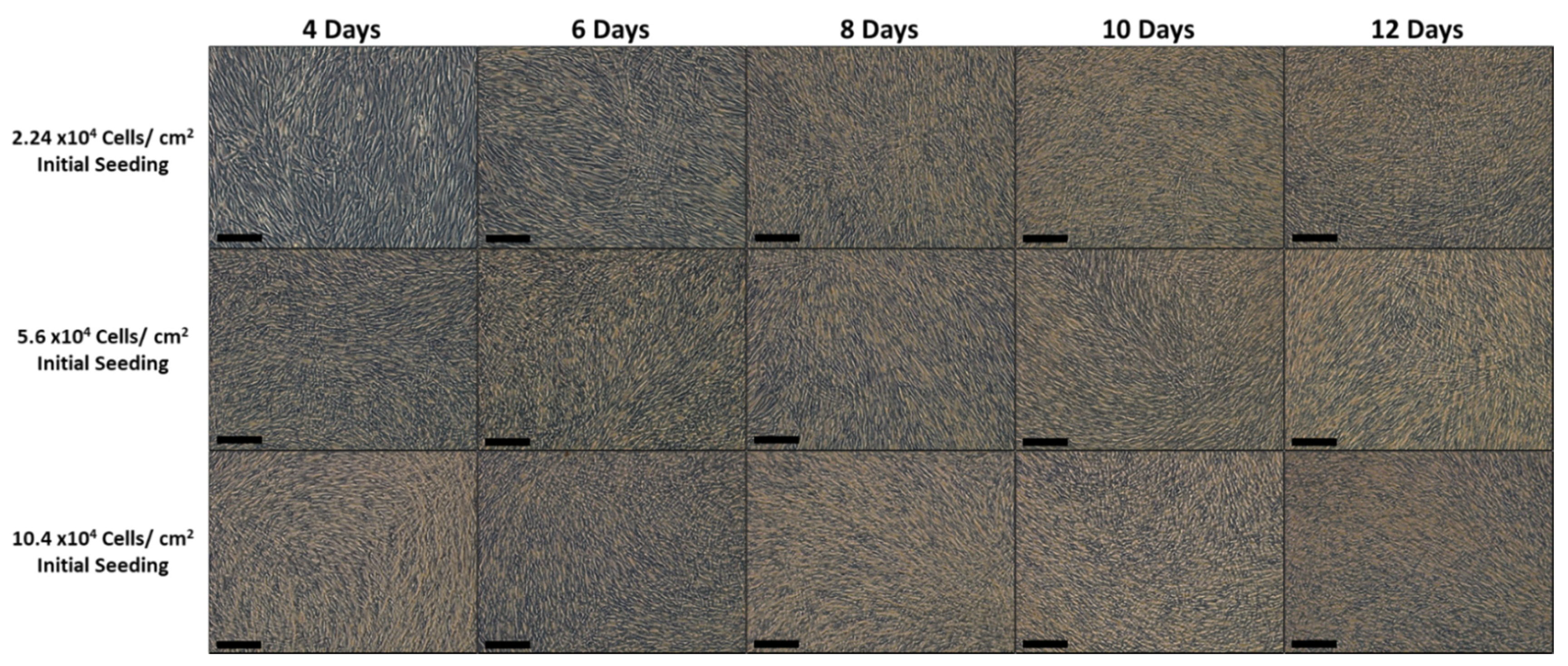 Bioengineering 08 00093 g002