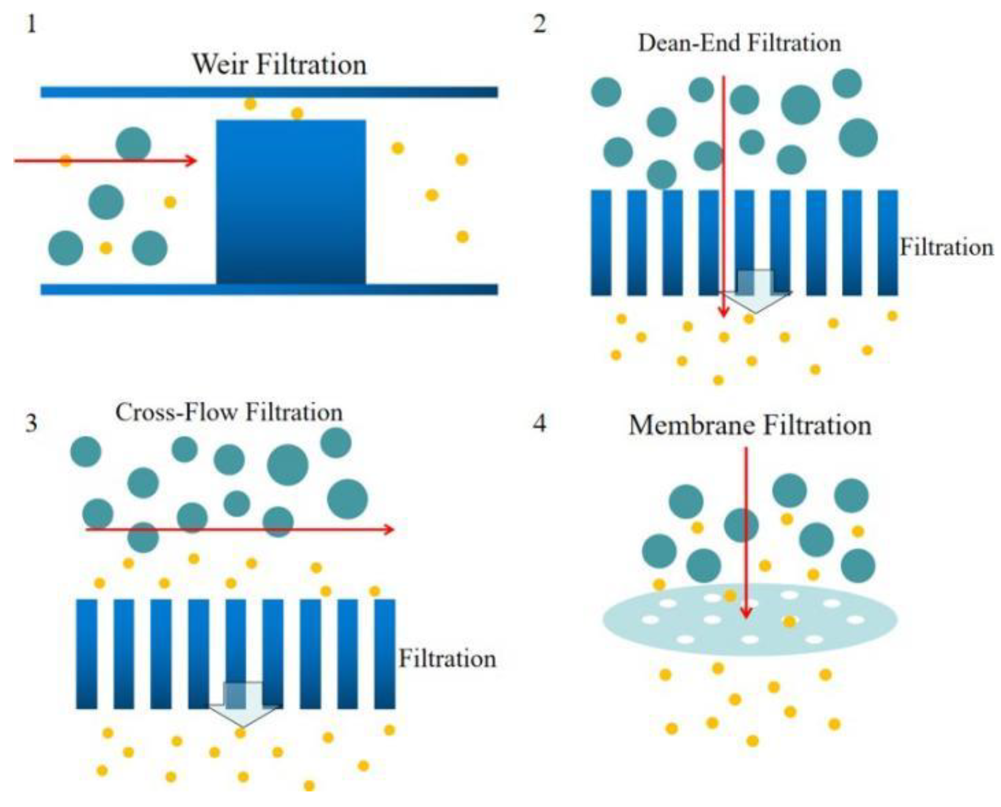 Bioengineering 08 00094 g003