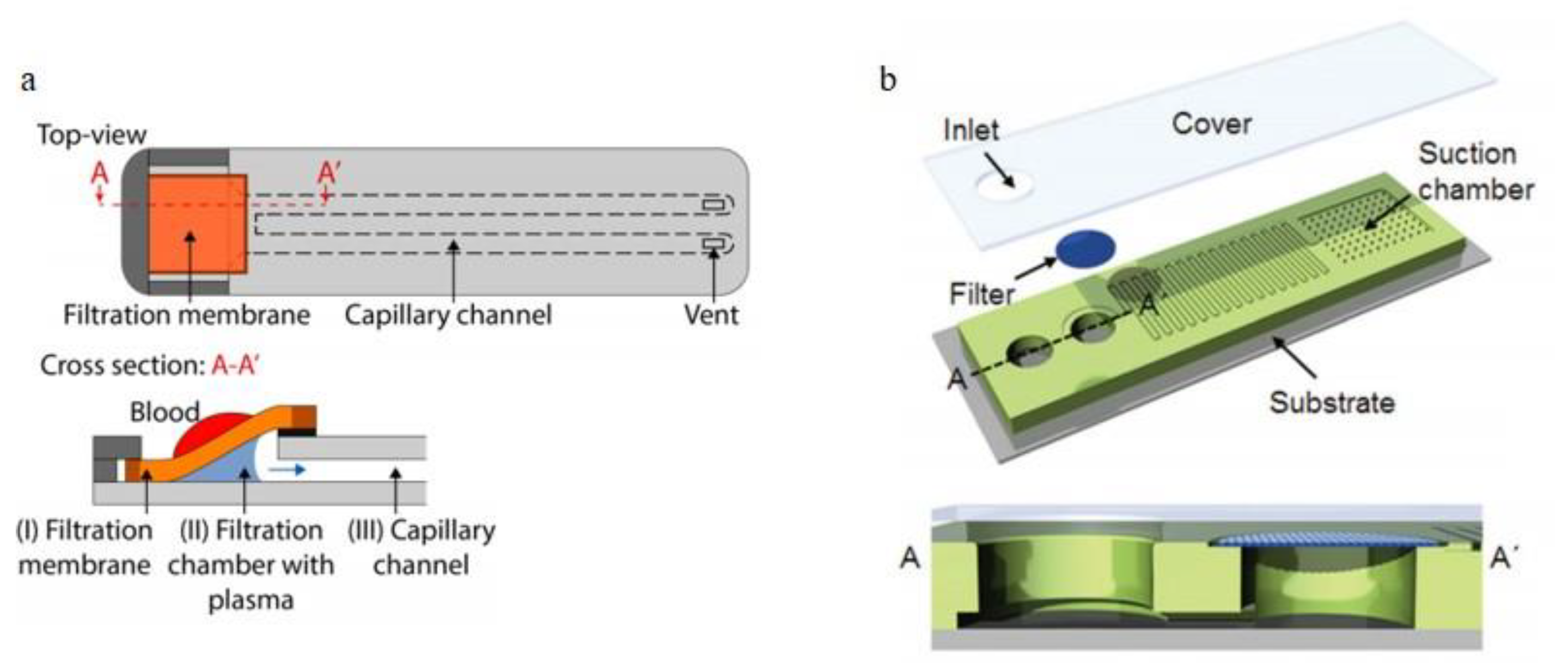 Bioengineering 08 00094 g005