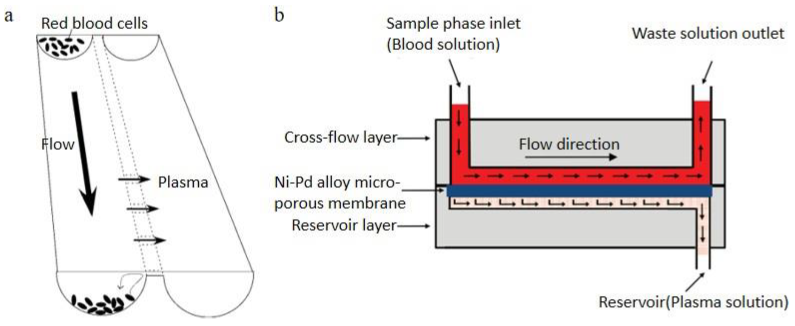 Bioengineering 08 00094 g006