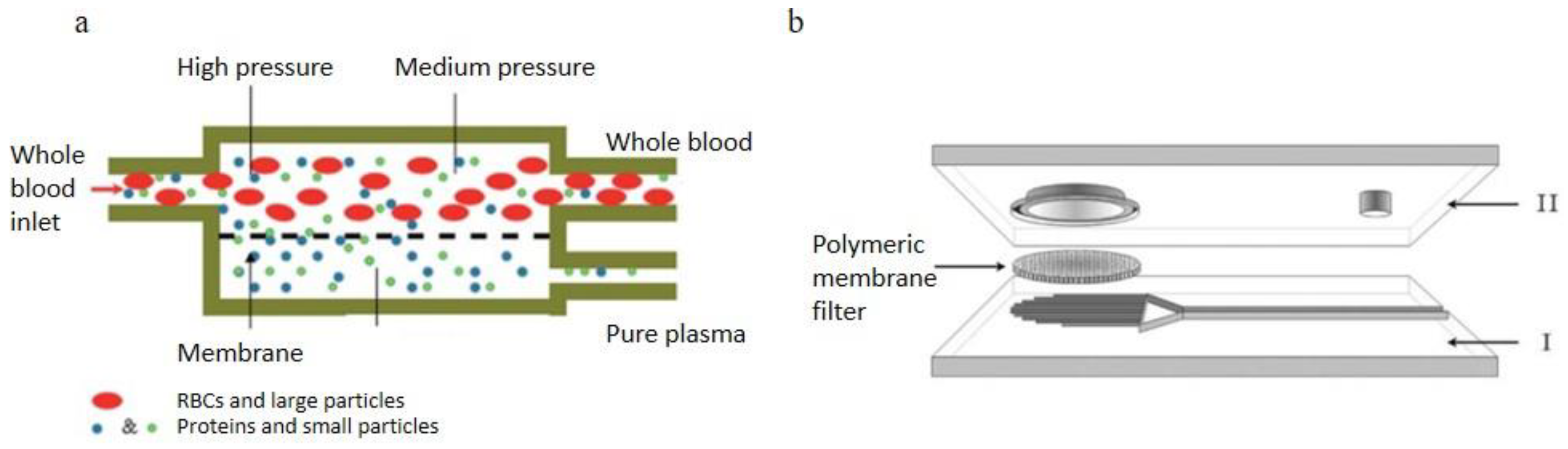 Bioengineering 08 00094 g007