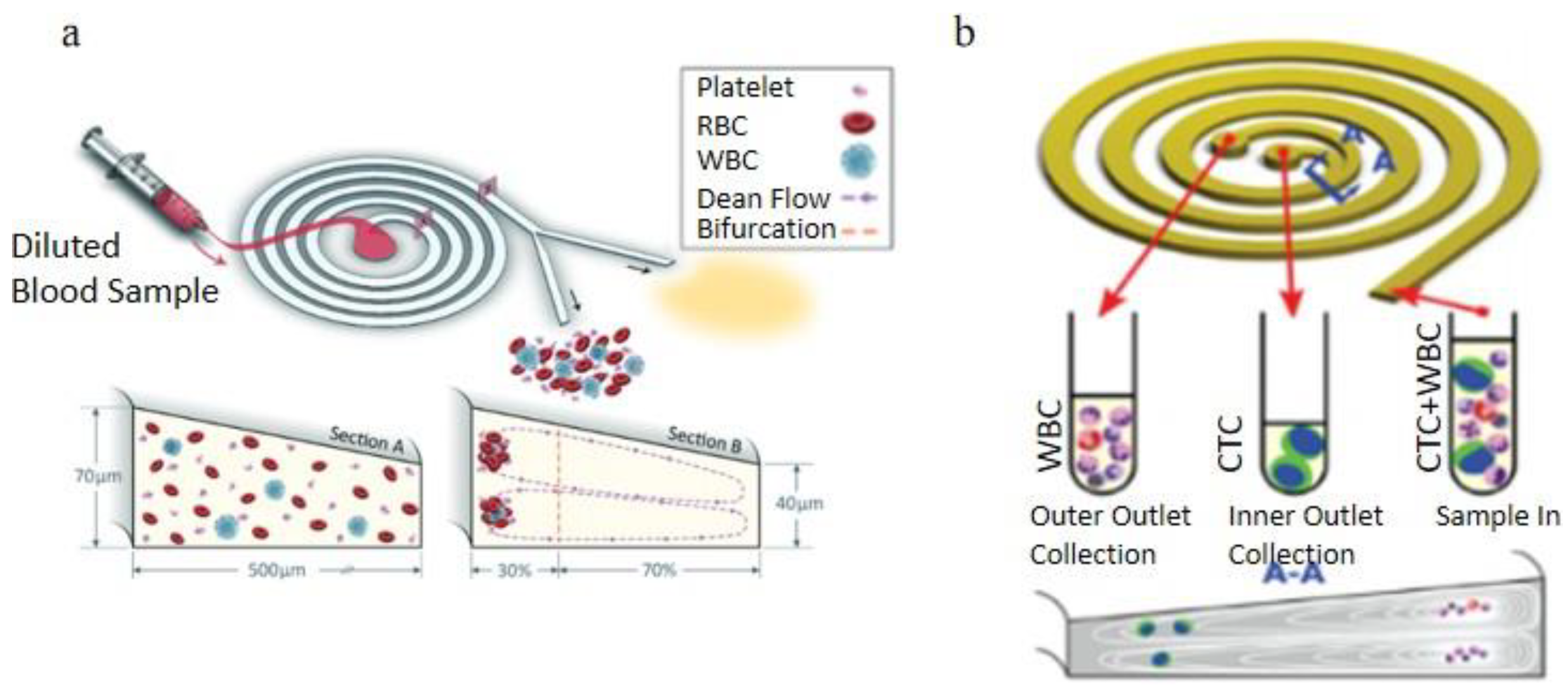 Bioengineering 08 00094 g013