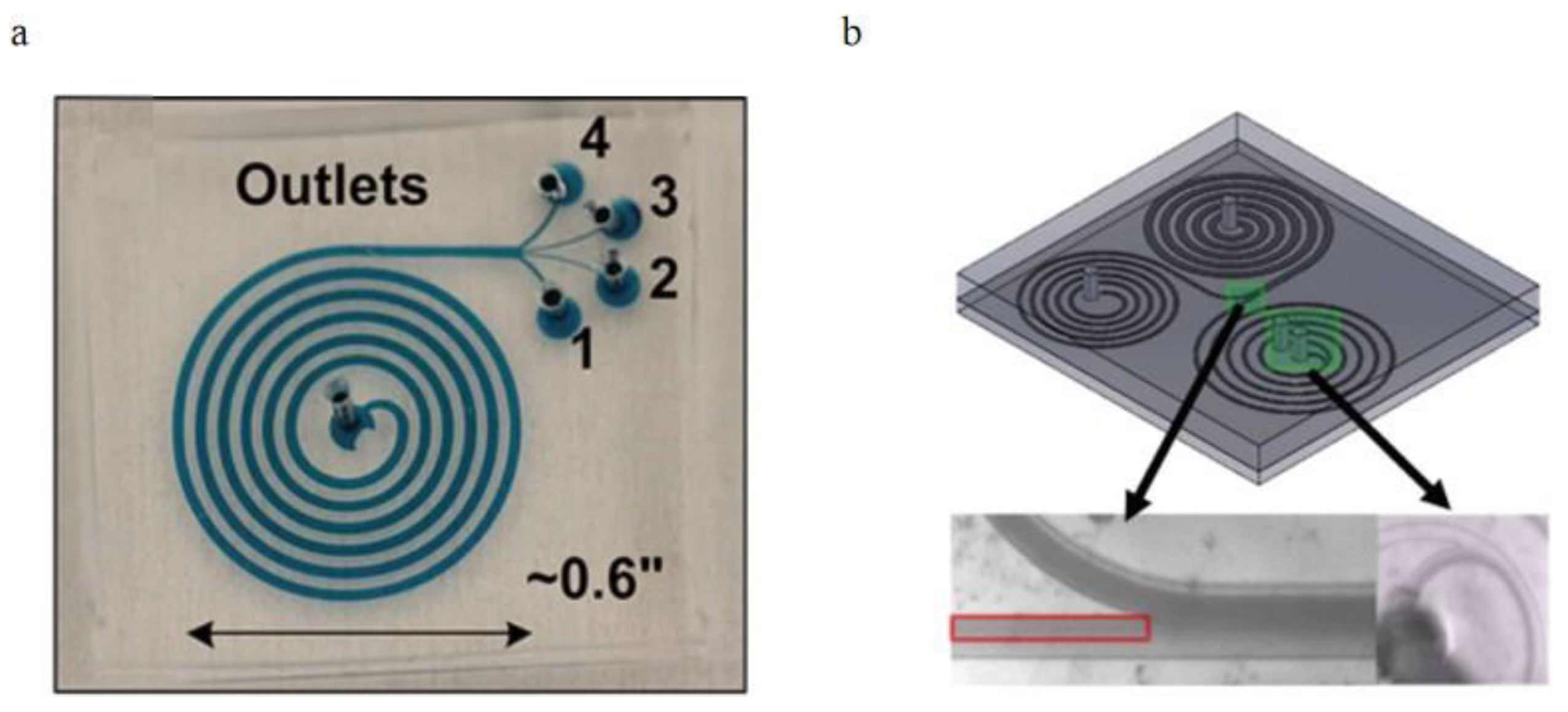 Bioengineering 08 00094 g014