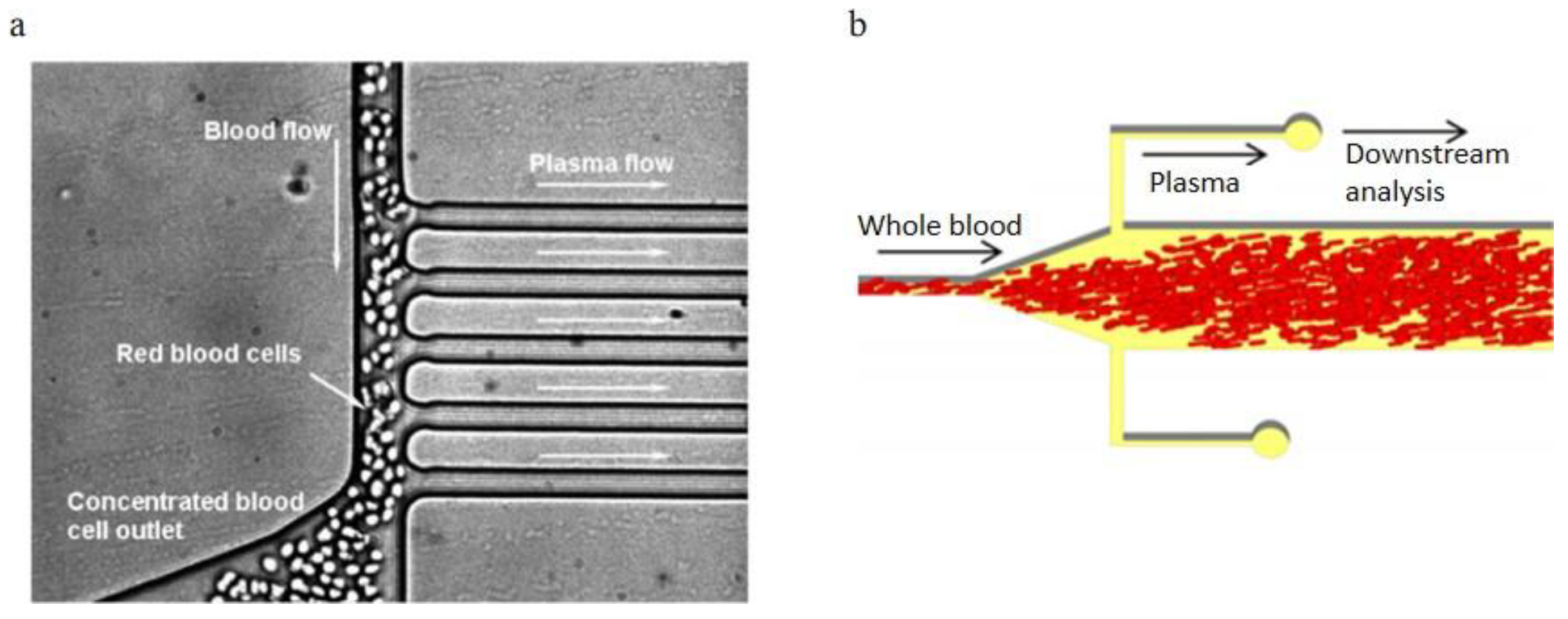 Bioengineering 08 00094 g015