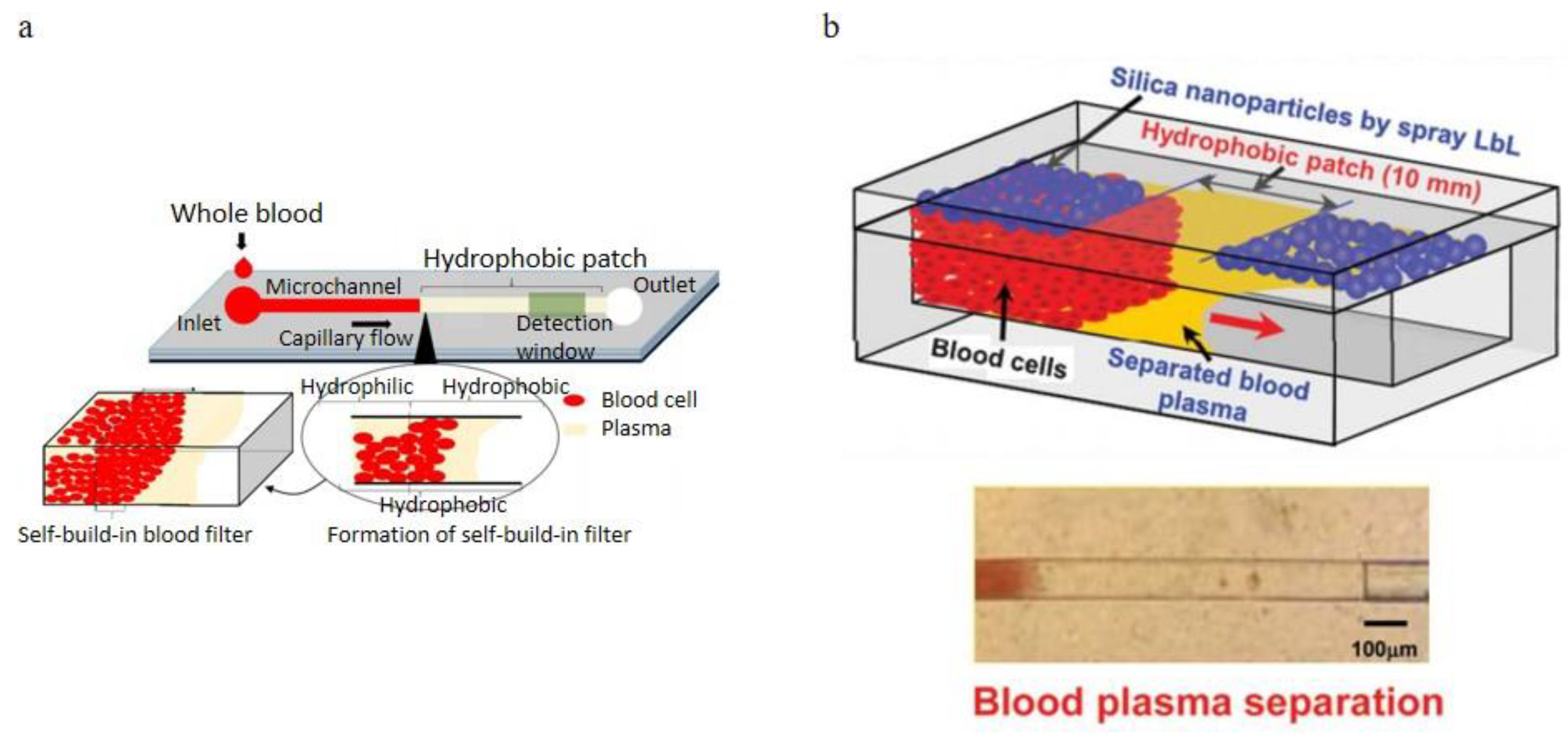 Bioengineering 08 00094 g016