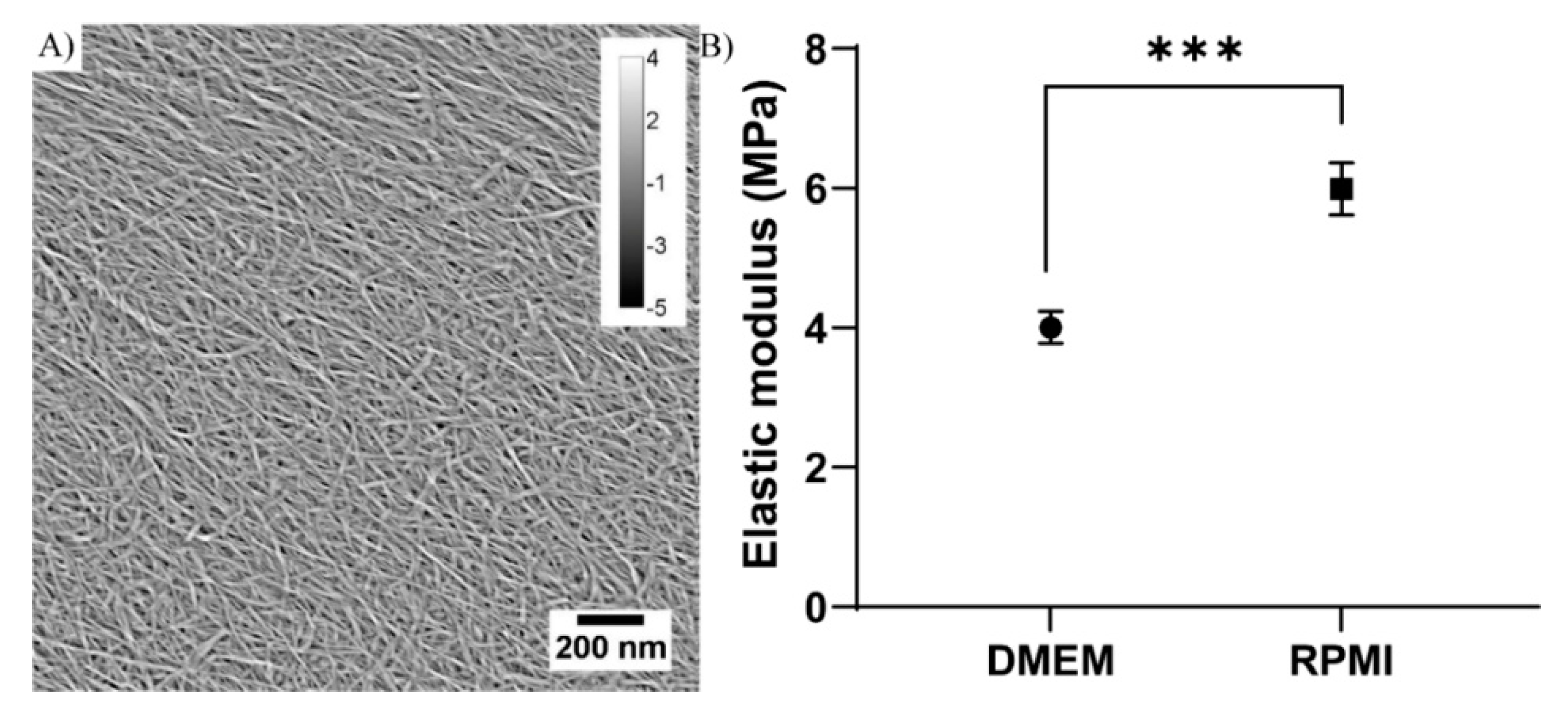Bioengineering 08 00097 g001