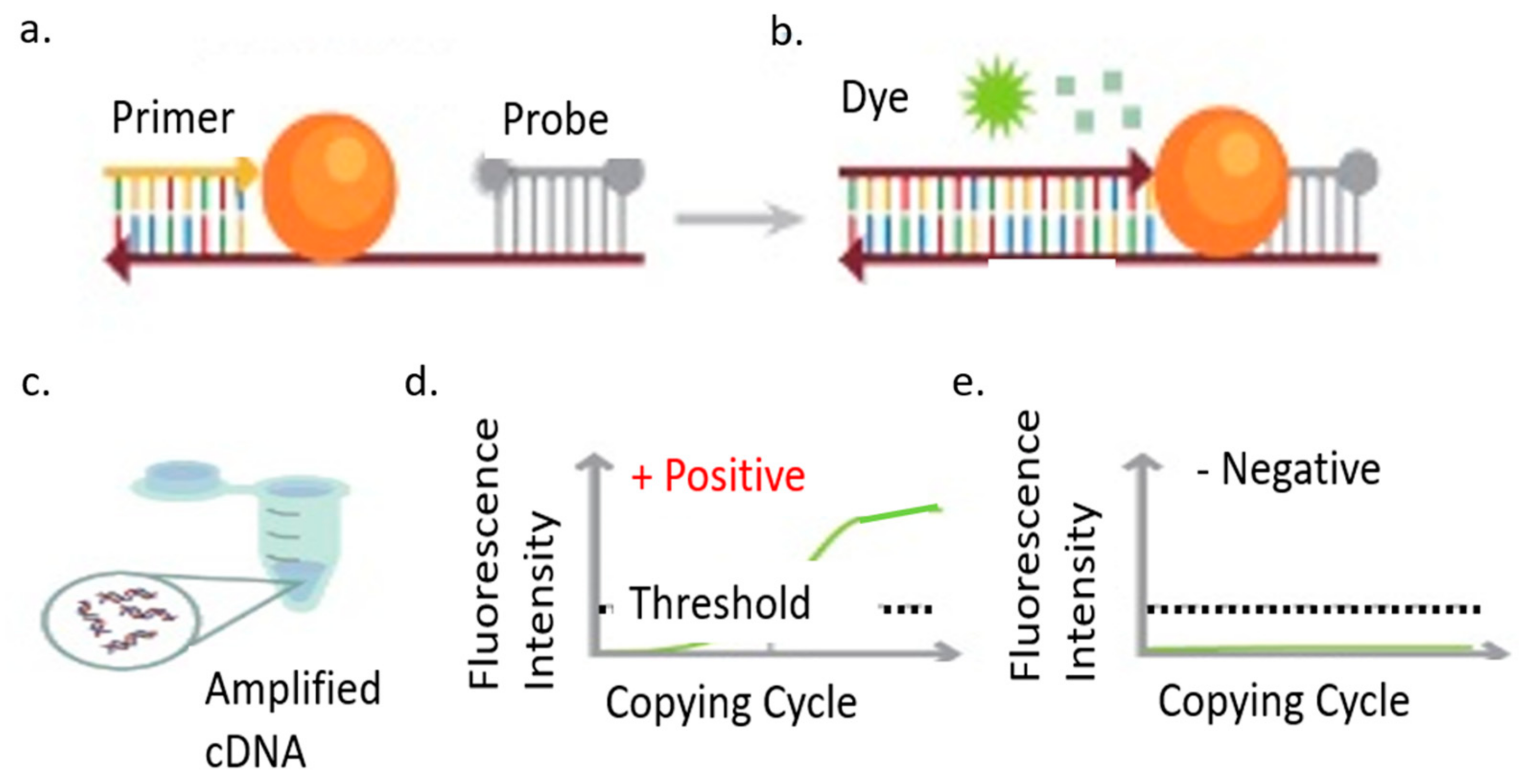 Bioengineering 08 00098 g006