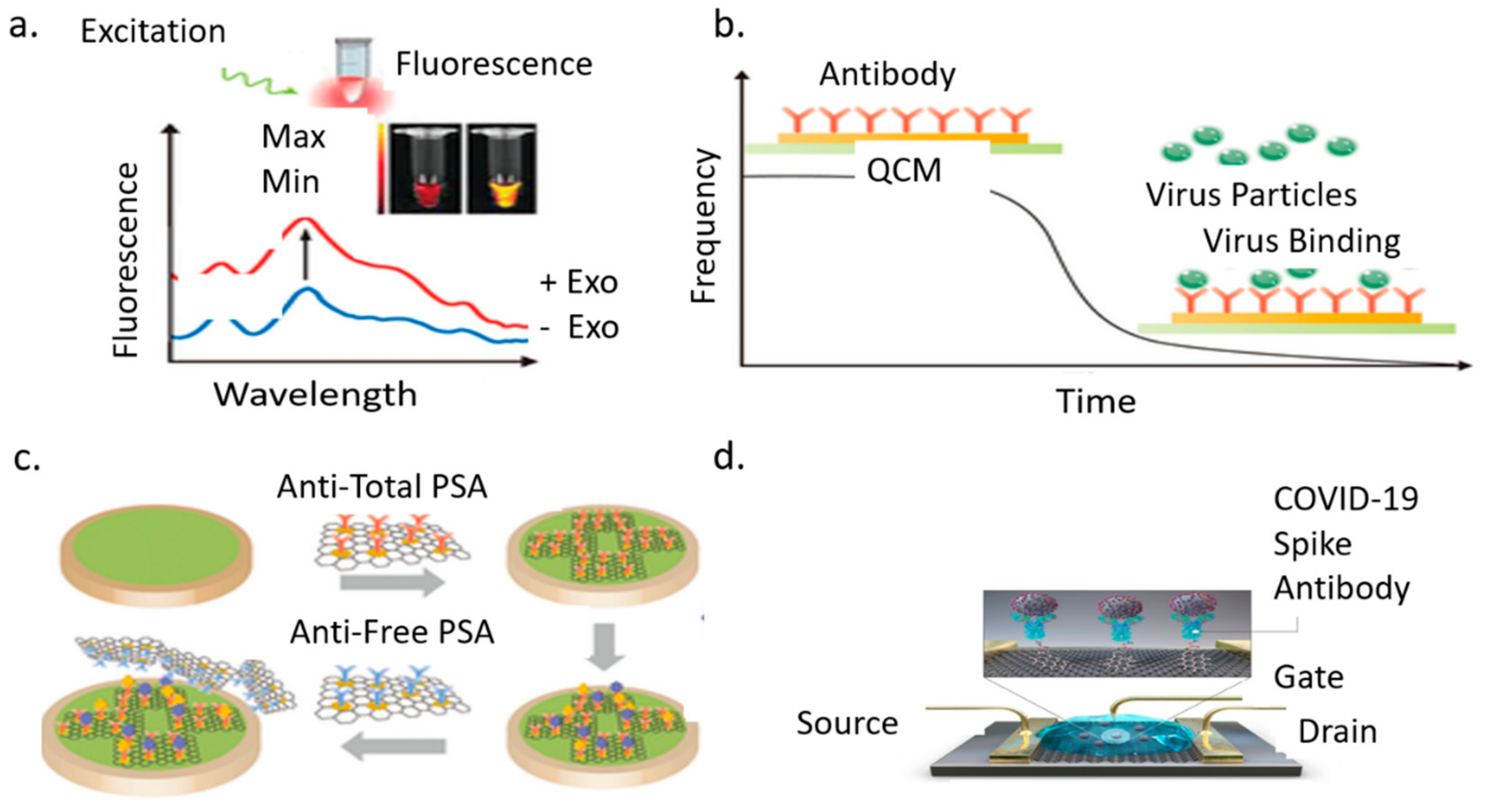 Bioengineering 08 00098 g008