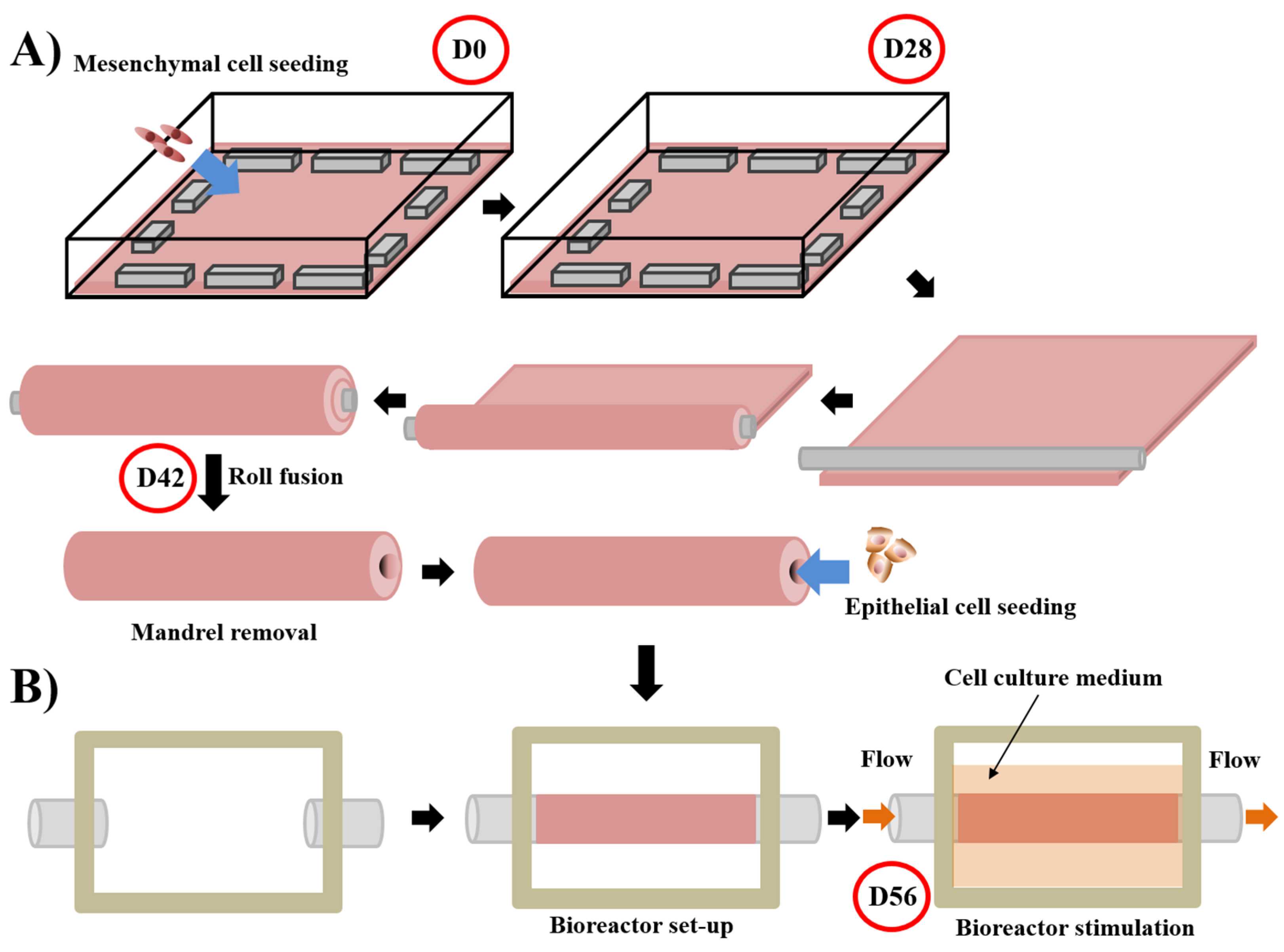 Bioengineering 08 00099 g003 Bioengineering 08 00099 g003