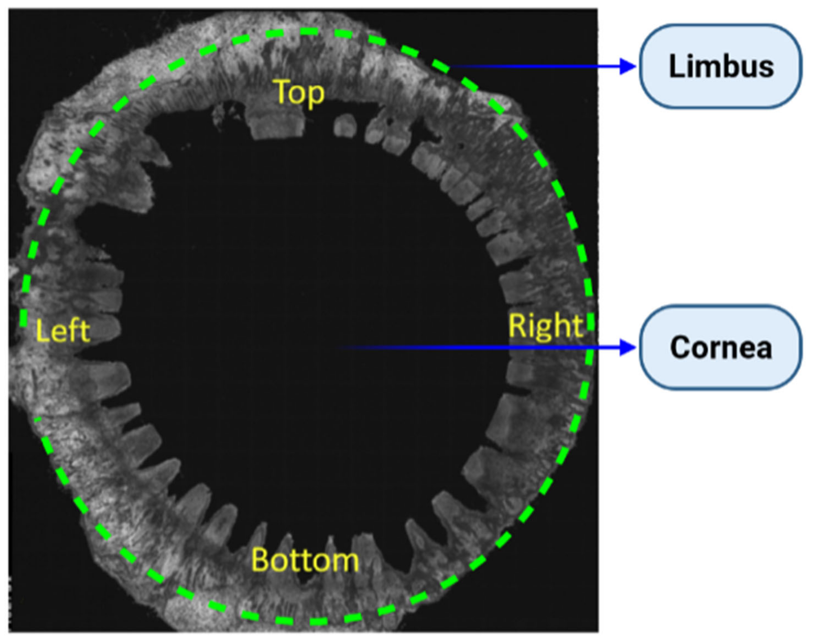 Bioengineering 08 00108 g001 Bioengineering 08 00108 g001