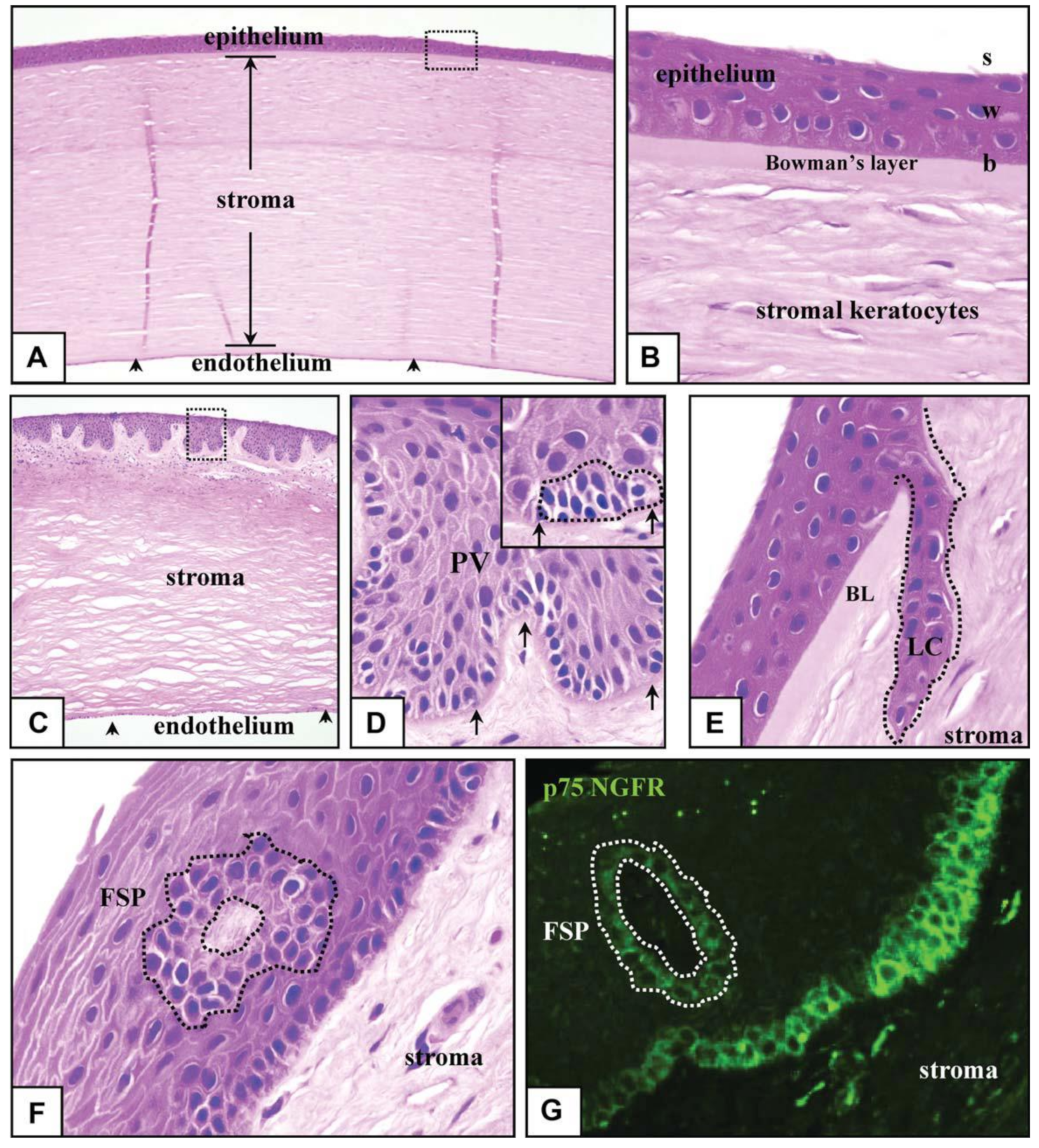 Bioengineering 08 00108 g002 Bioengineering 08 00108 g002