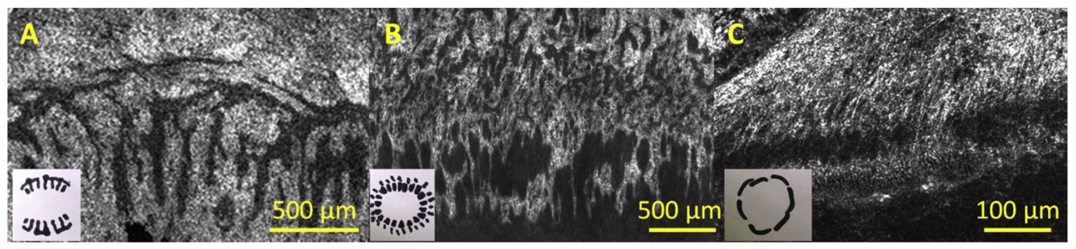 Bioengineering 08 00108 g005 Bioengineering 08 00108 g005