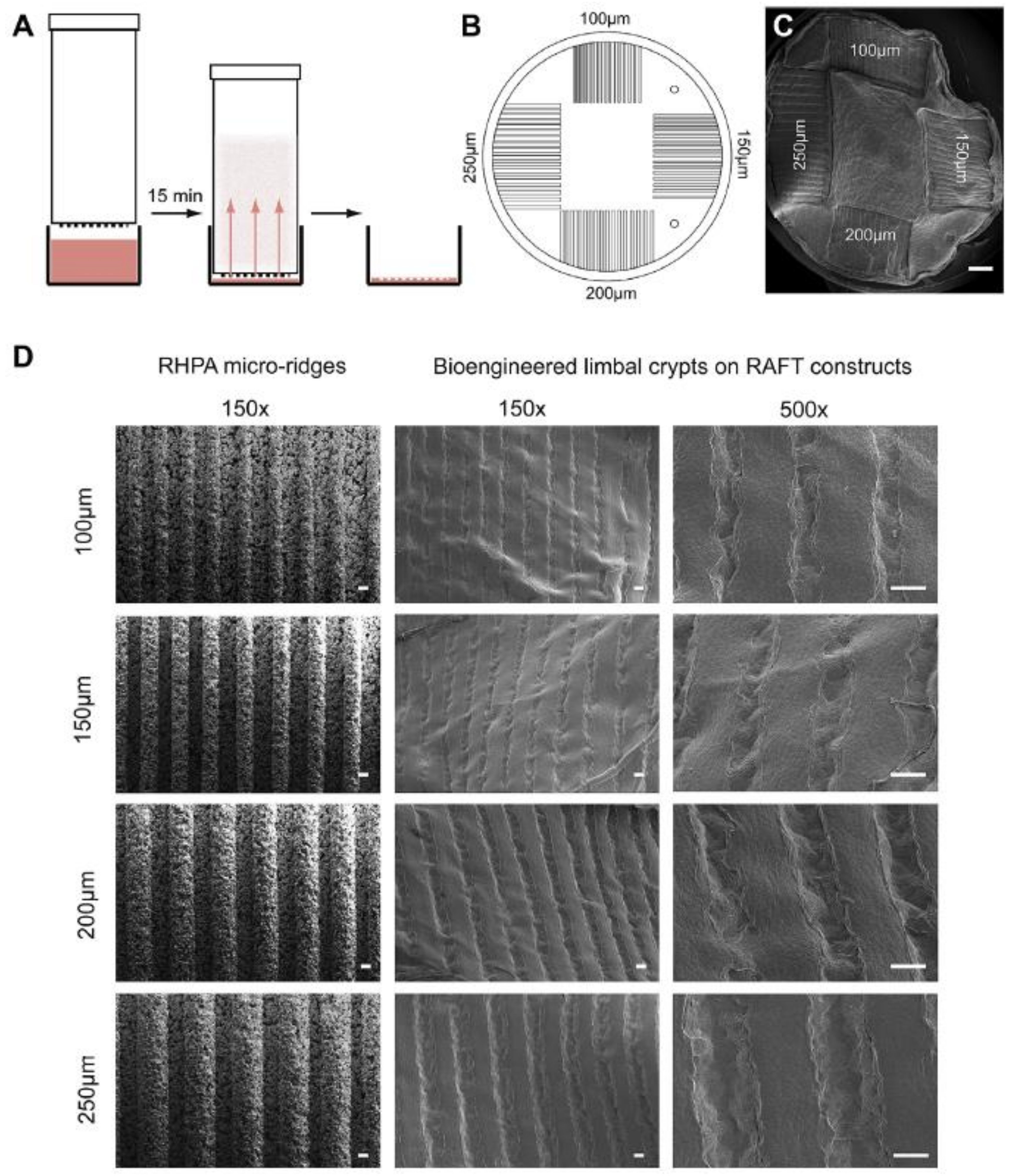 Bioengineering 08 00108 g006 Bioengineering 08 00108 g006