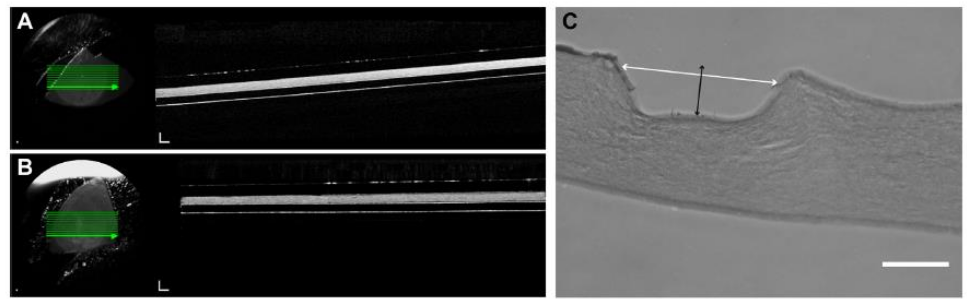 Bioengineering 08 00108 g007 Bioengineering 08 00108 g007