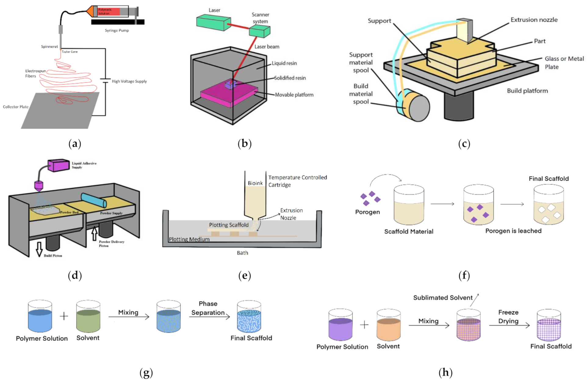 Bioengineering 08 00113 g002 550