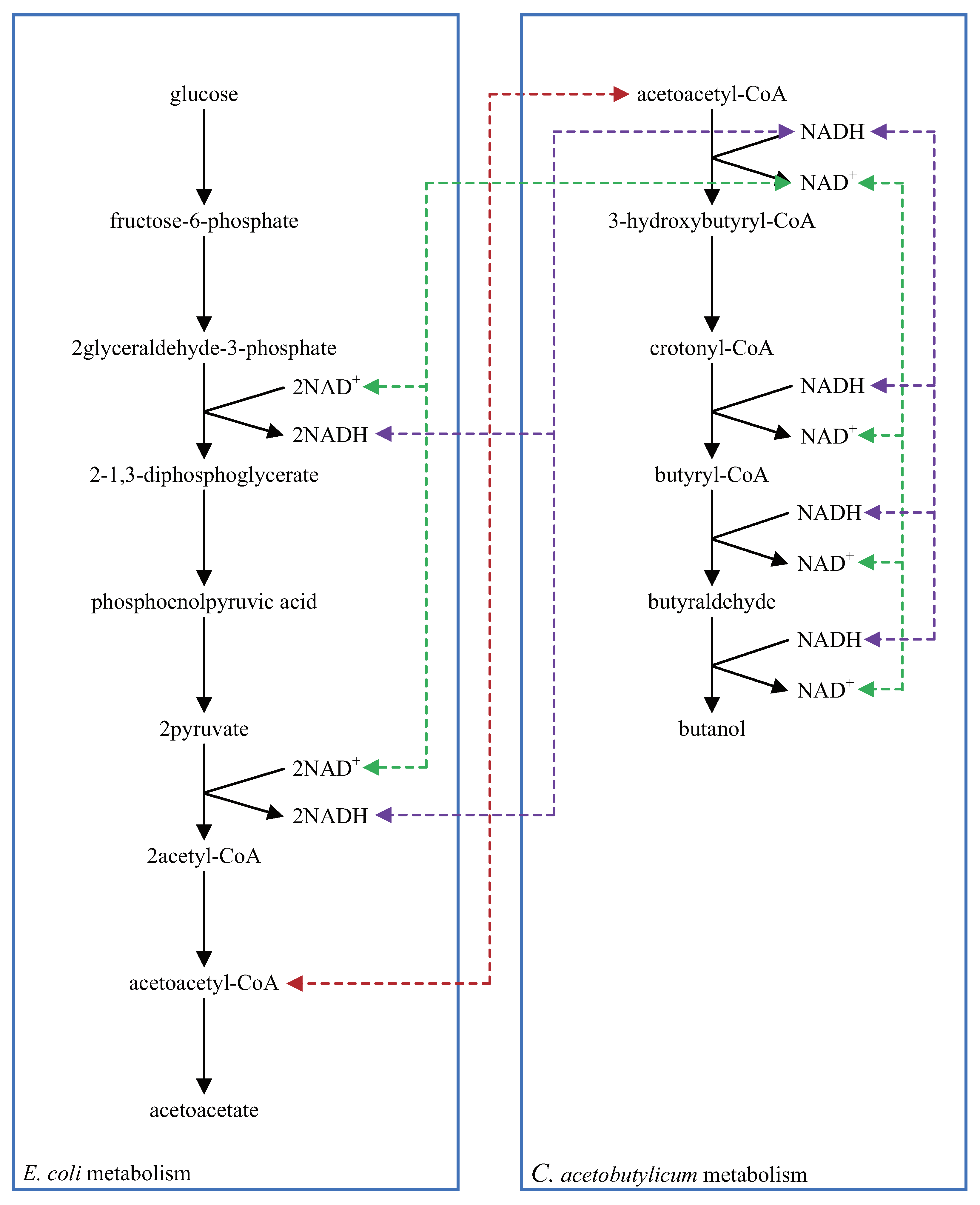 Bioengineering 08 00114 g008 Bioengineering 08 00114 g008