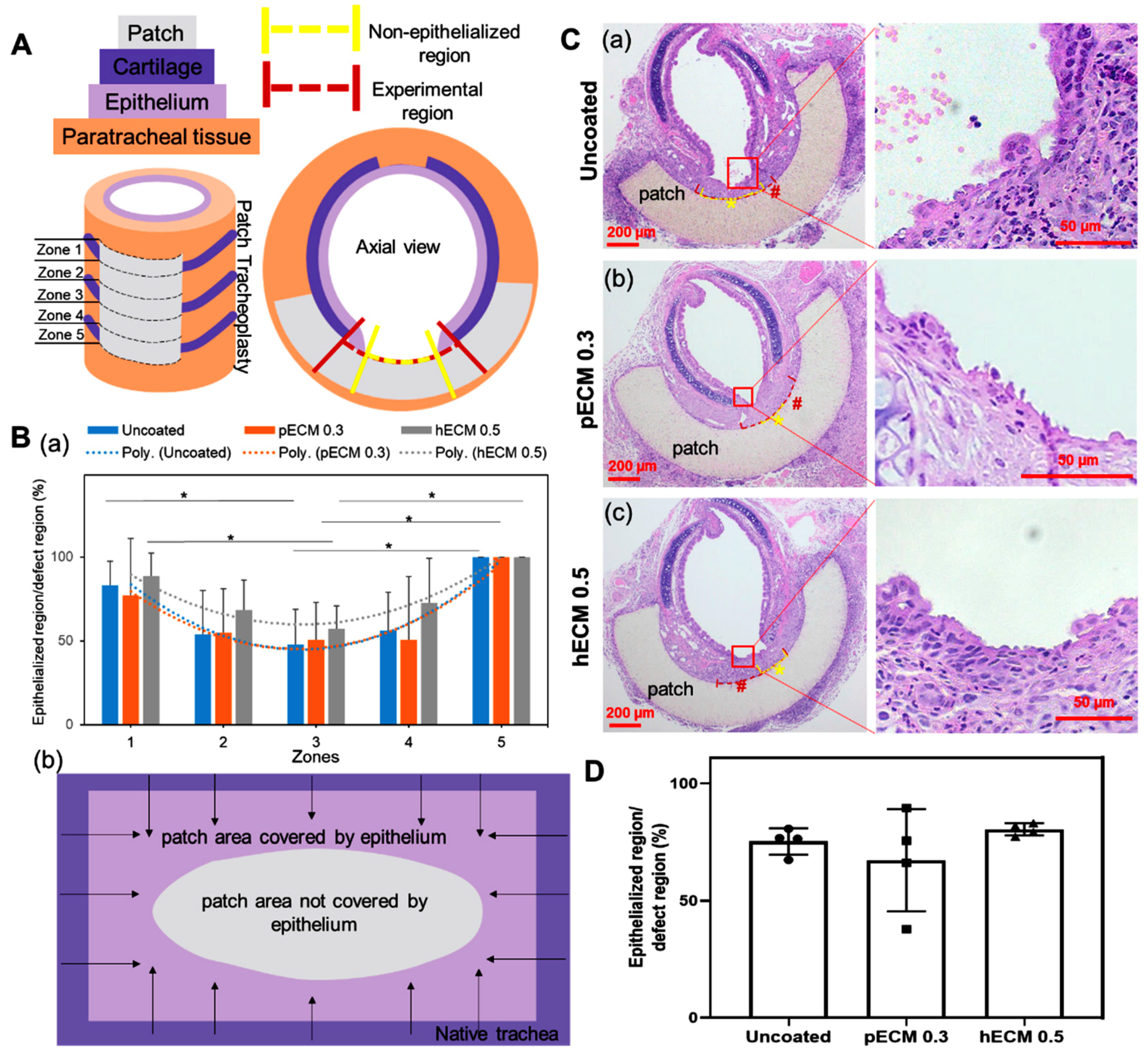 Bioengineering 08 00116 g003