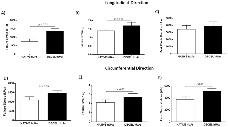 Bioengineering 08 00118 g005