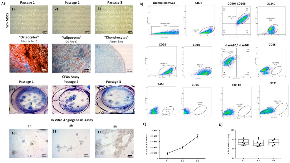 Bioengineering 08 00118 g006