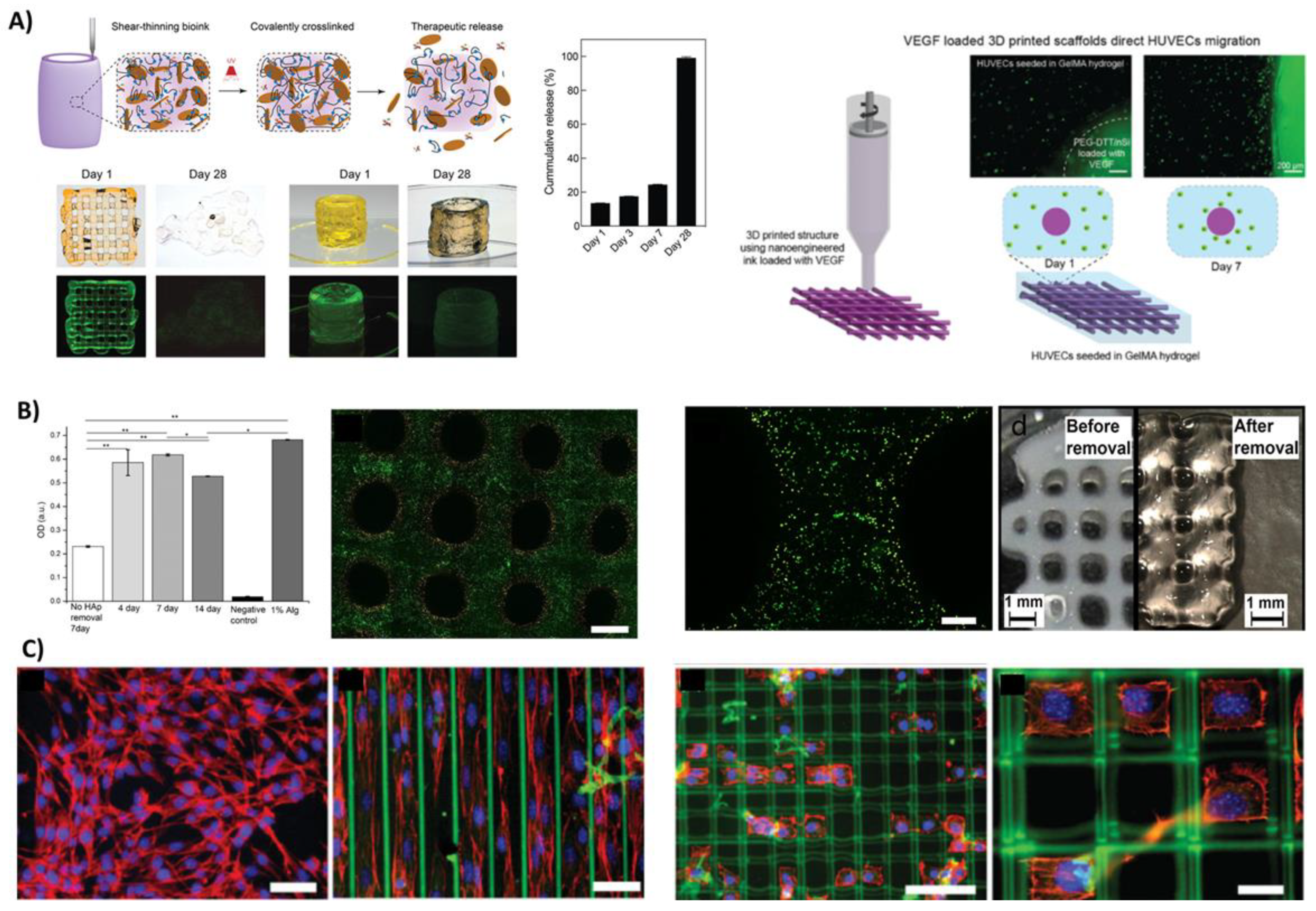Bioengineering 08 00123 g003 Bioengineering 08 00123 g003