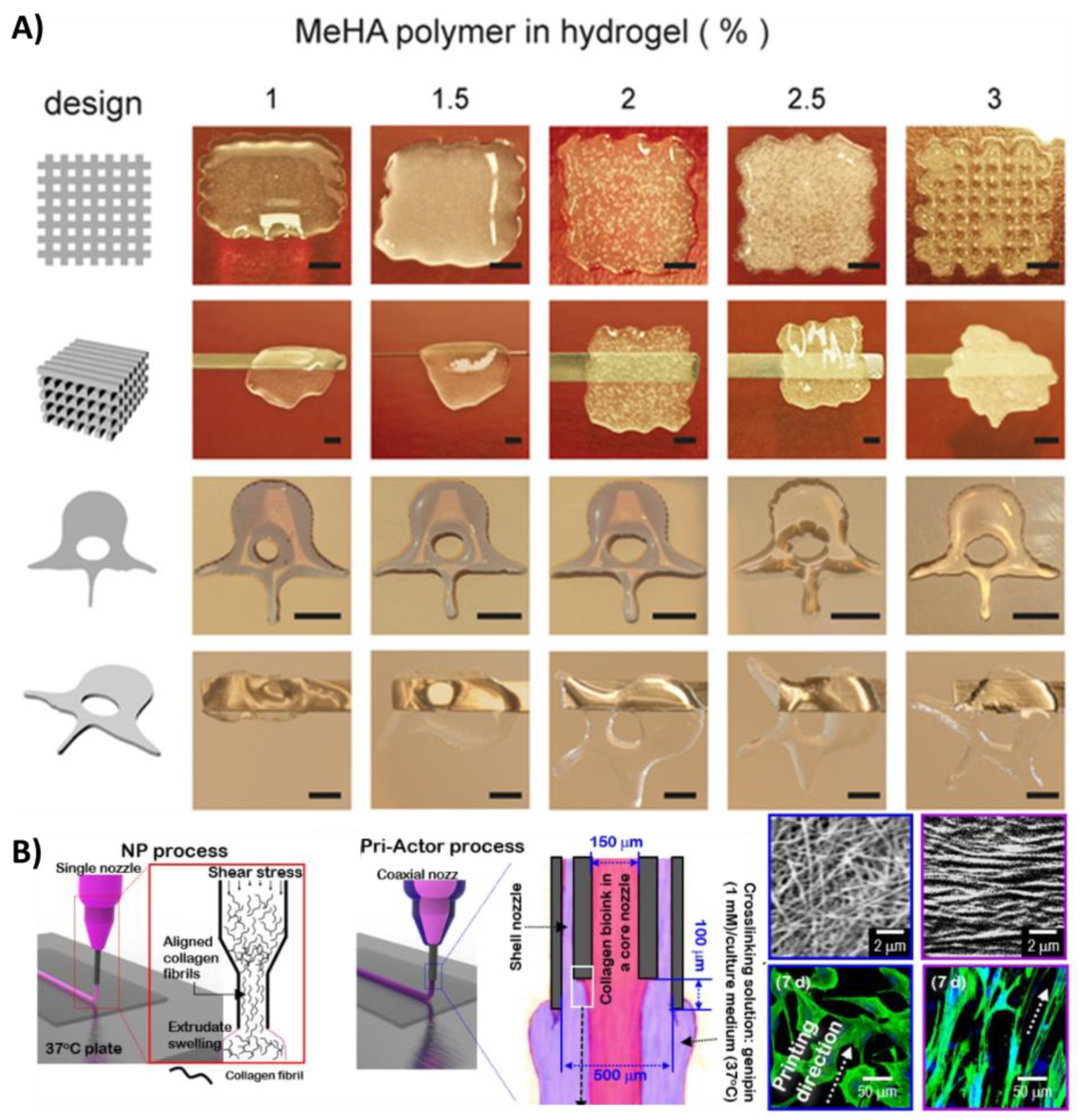 Bioengineering 08 00123 g004 Bioengineering 08 00123 g004