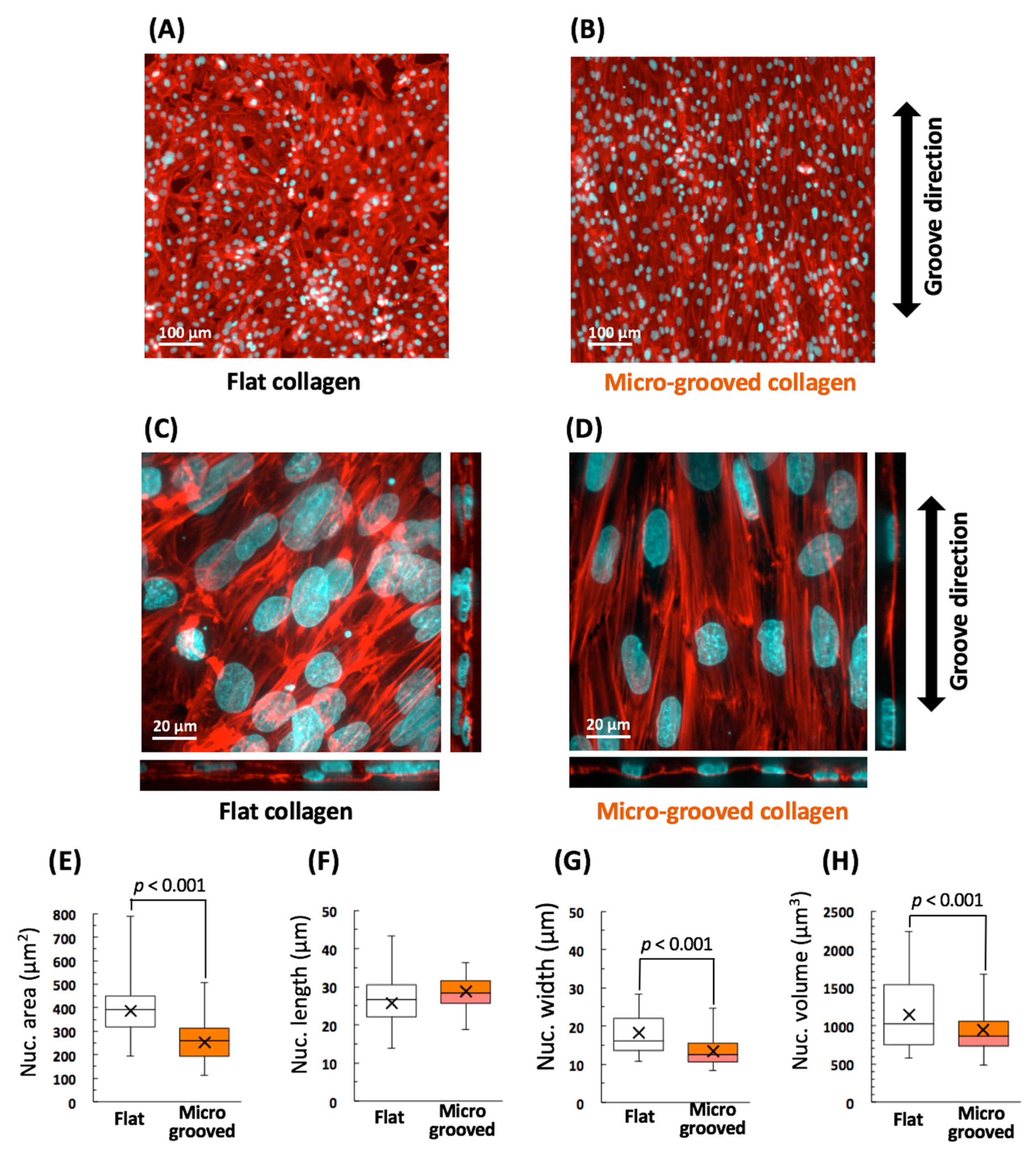 Bioengineering 08 00124 g002