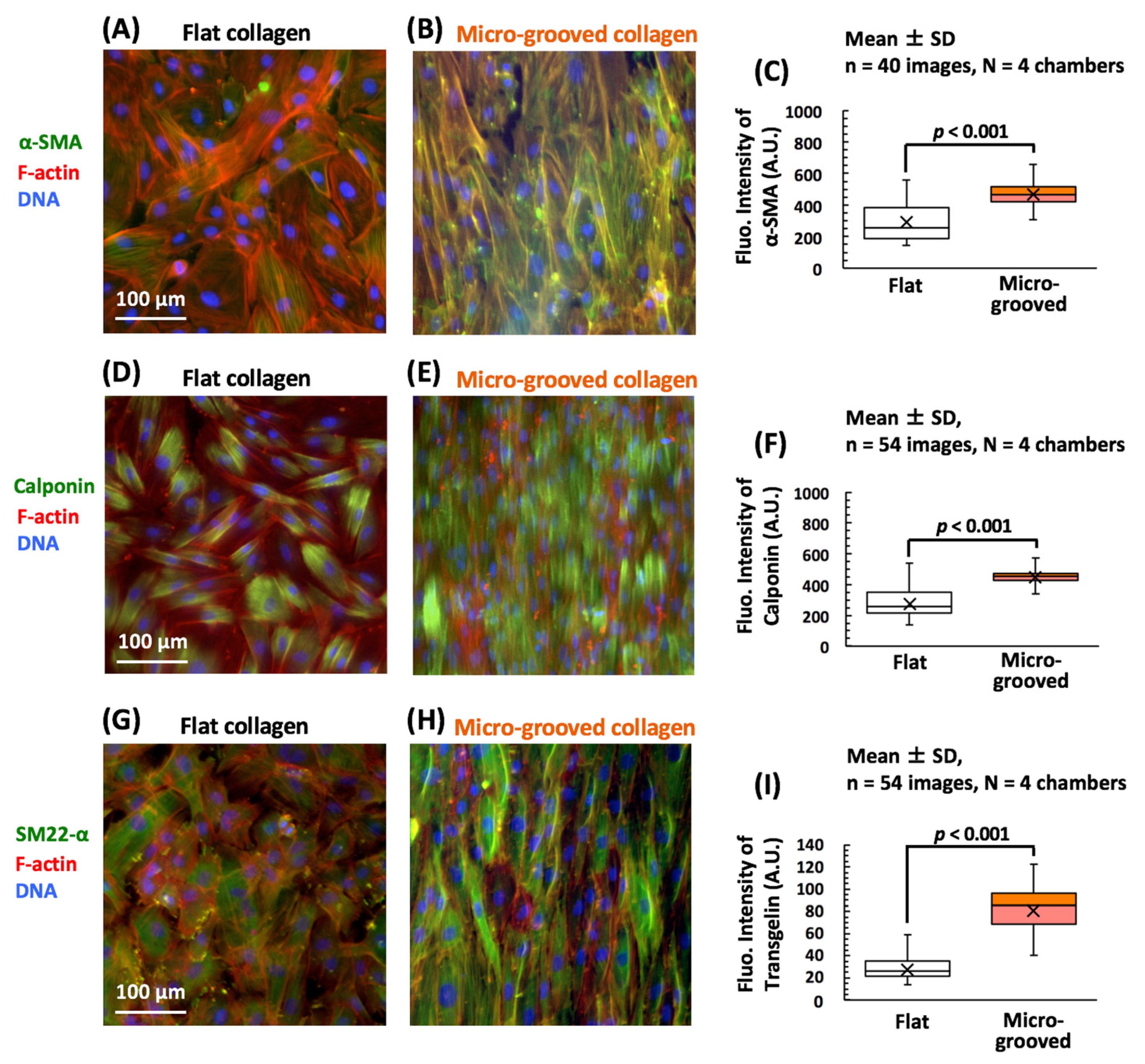 Bioengineering 08 00124 g003