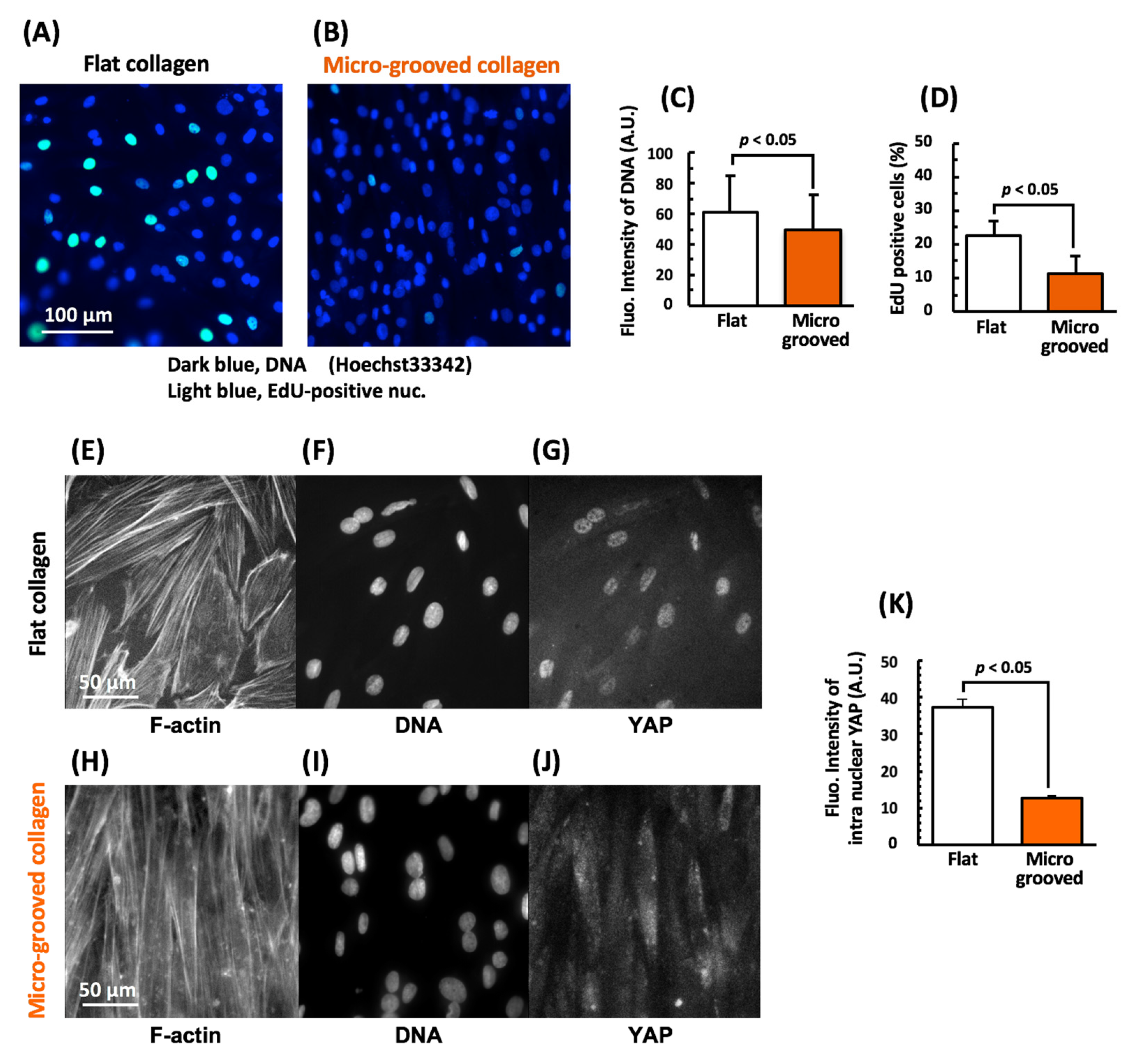 Bioengineering 08 00124 g004