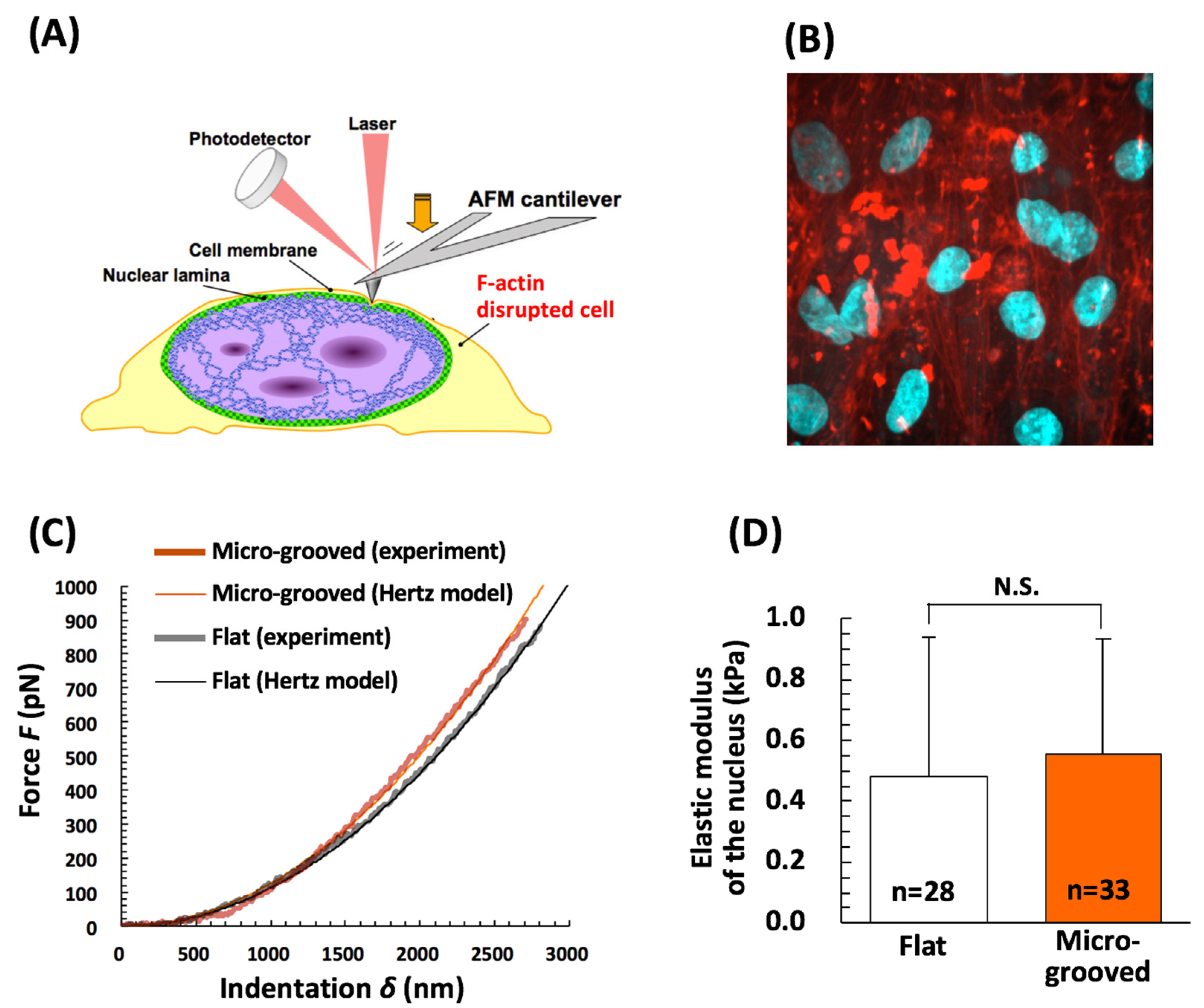 Bioengineering 08 00124 g006